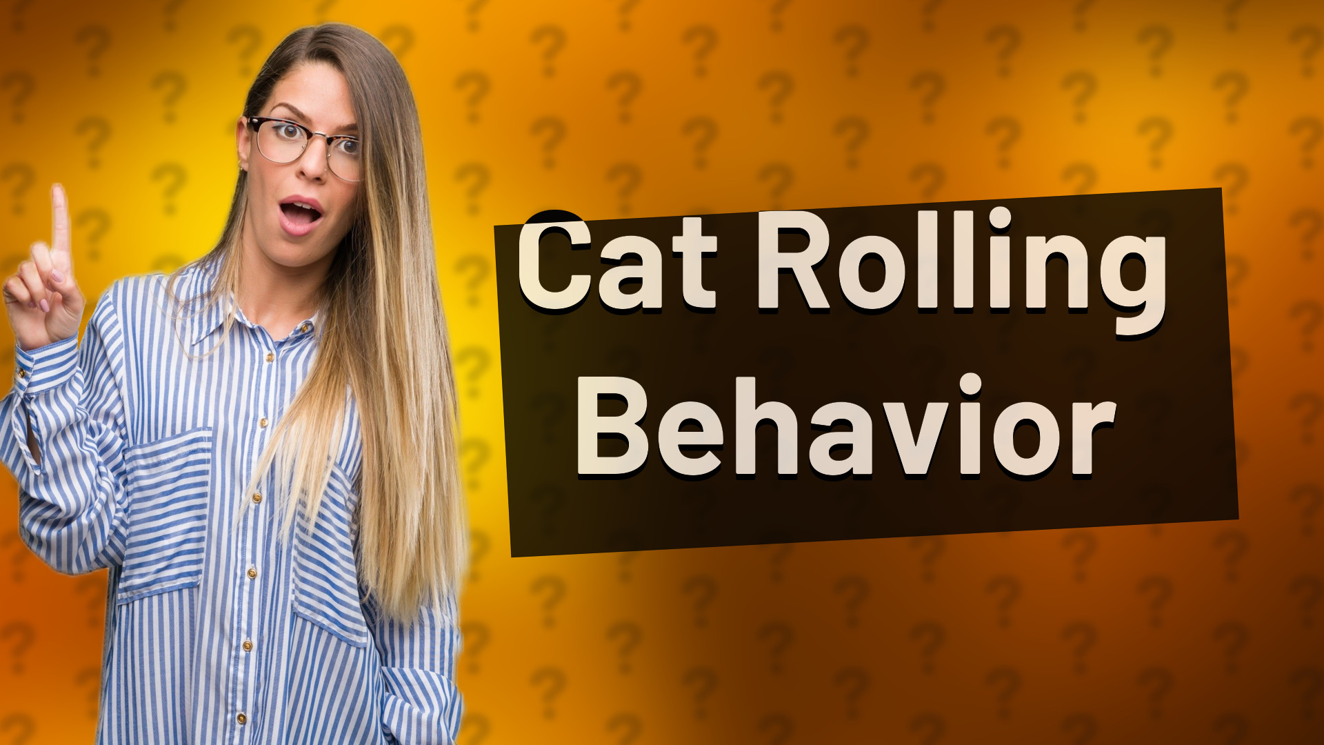 Cat Rolling Behavior