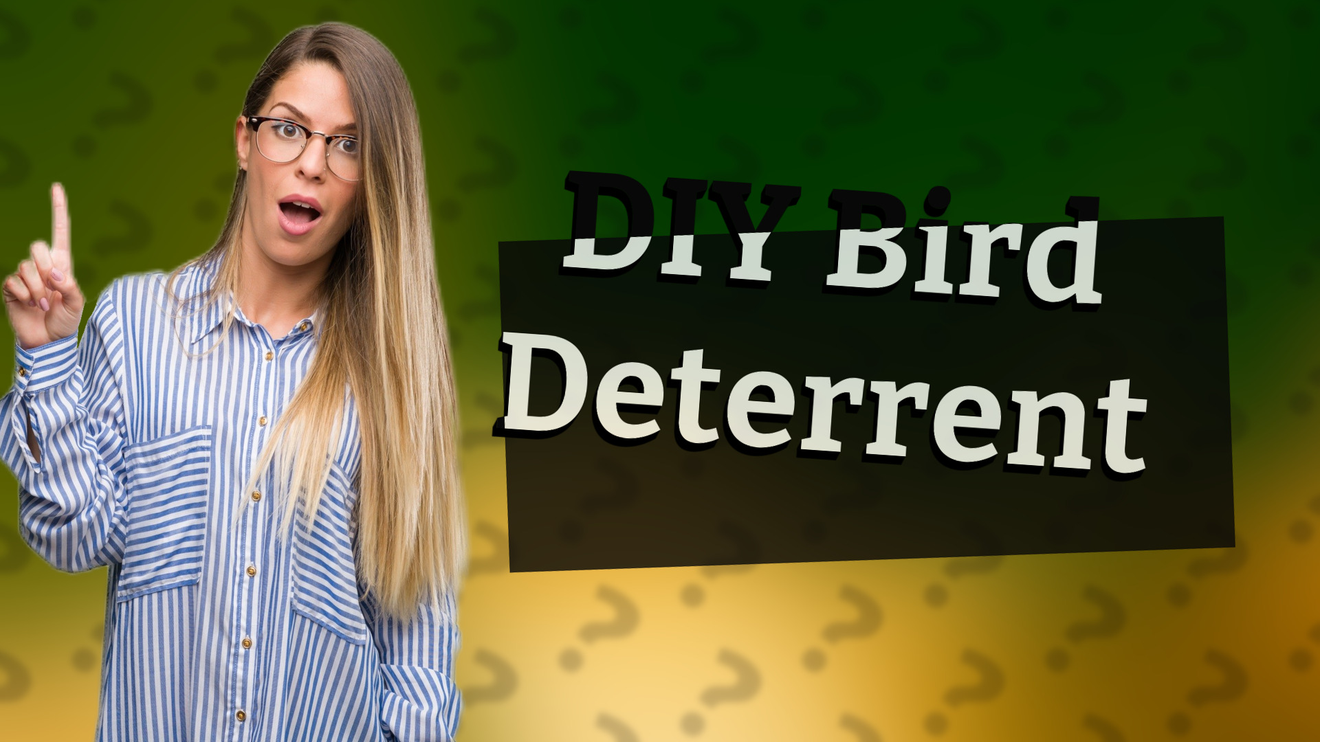 DIY Bird Deterrent