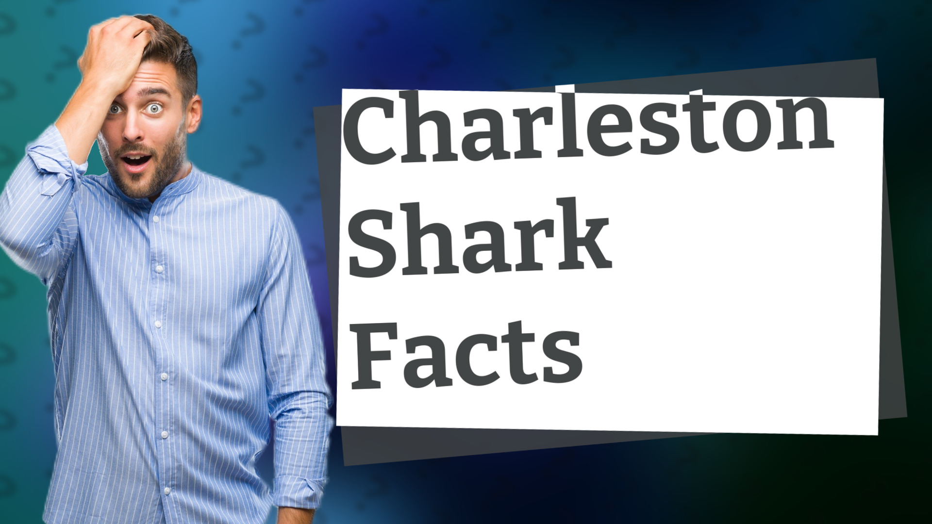 Charleston Shark Facts