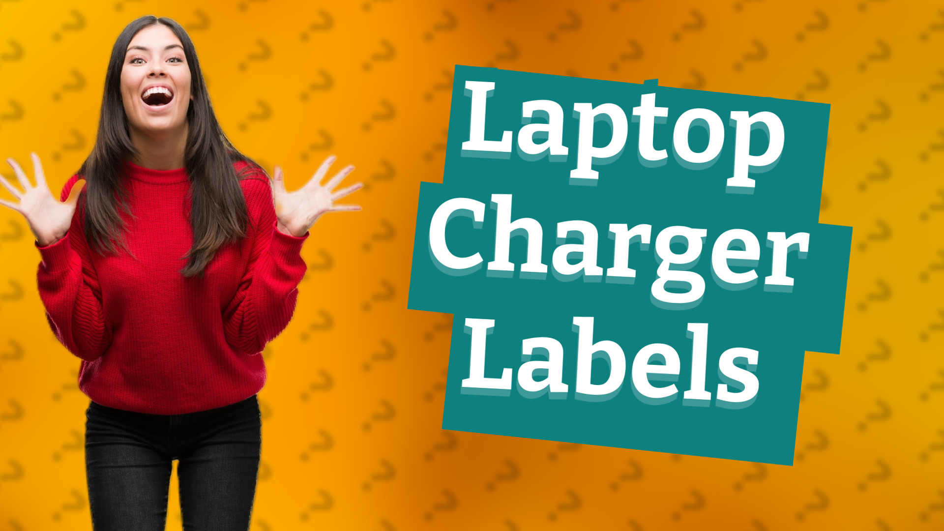 Laptop Charger Labels