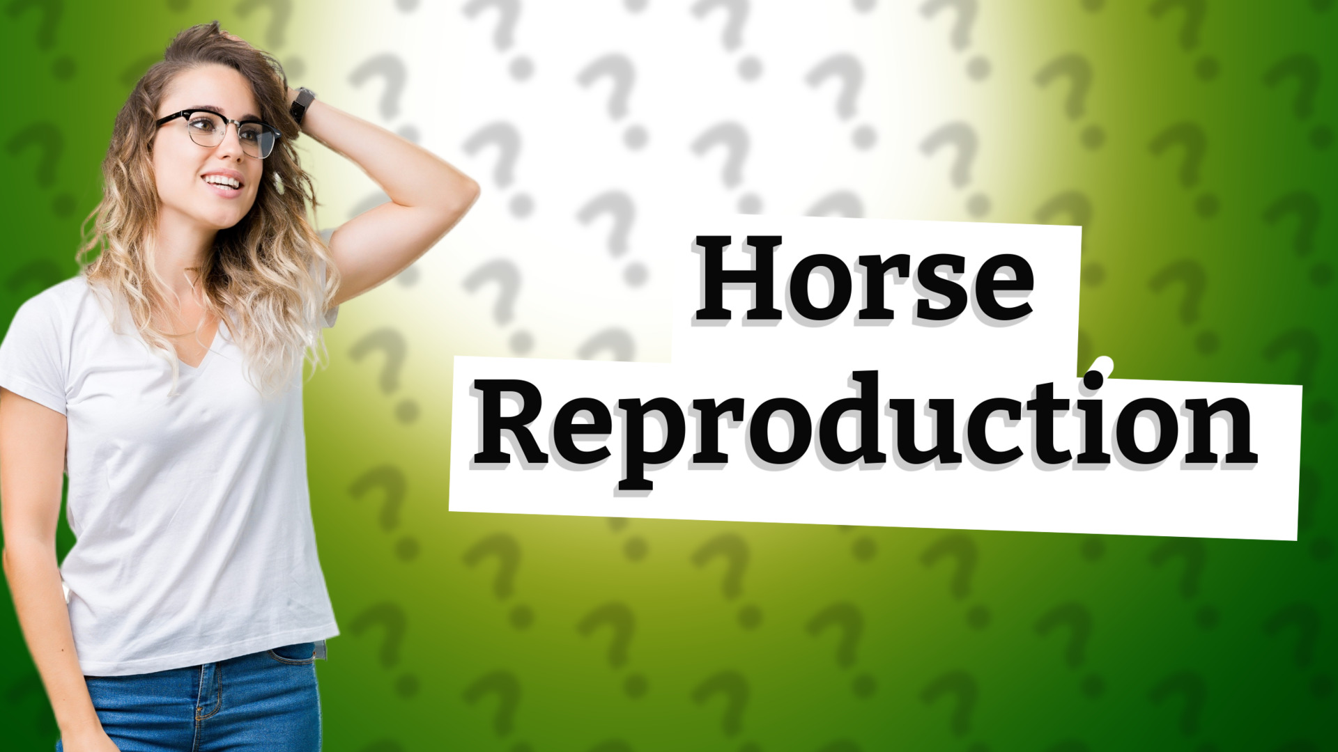 Horse Reproduction