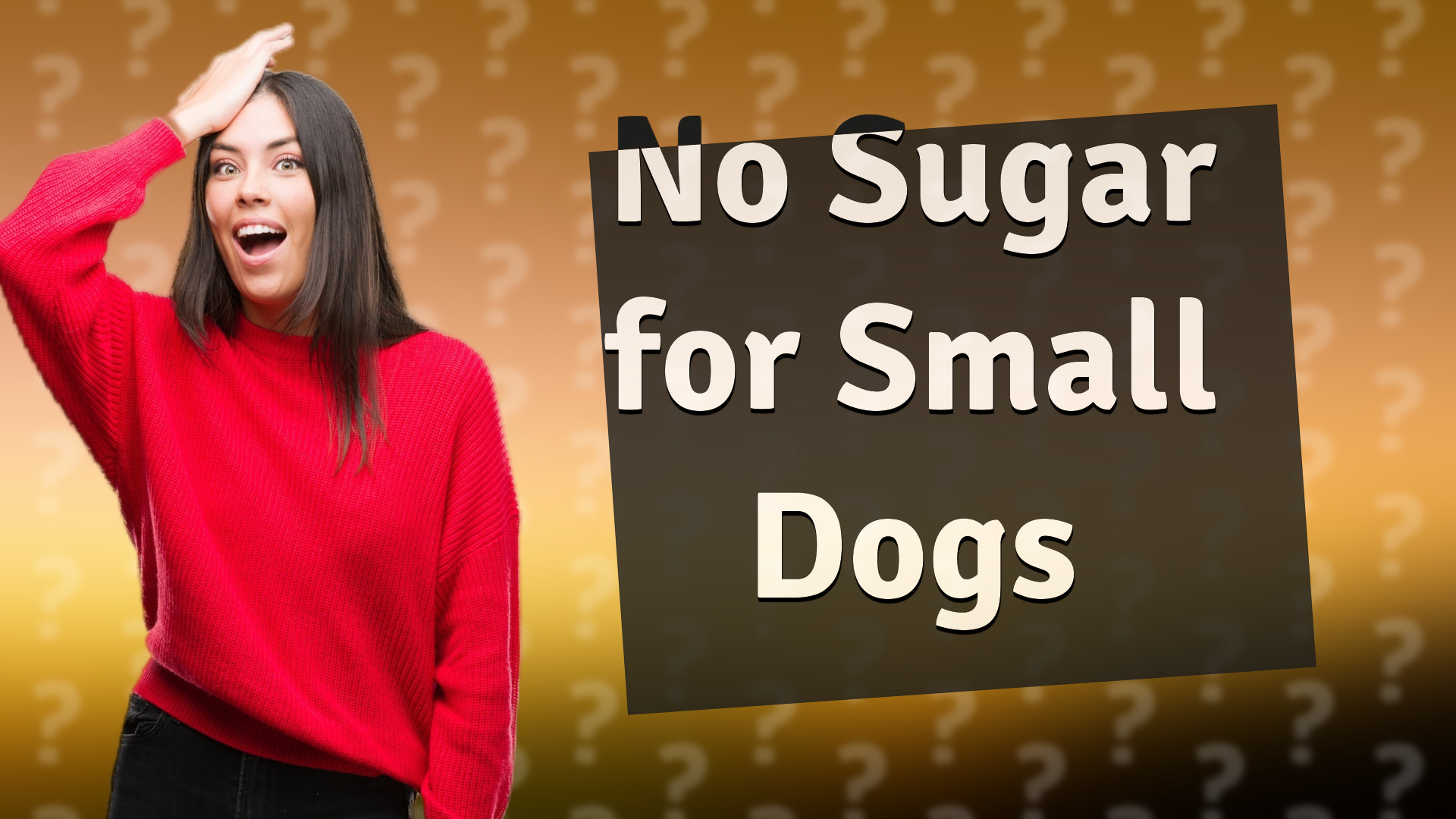 No Sugar for Small Dogs