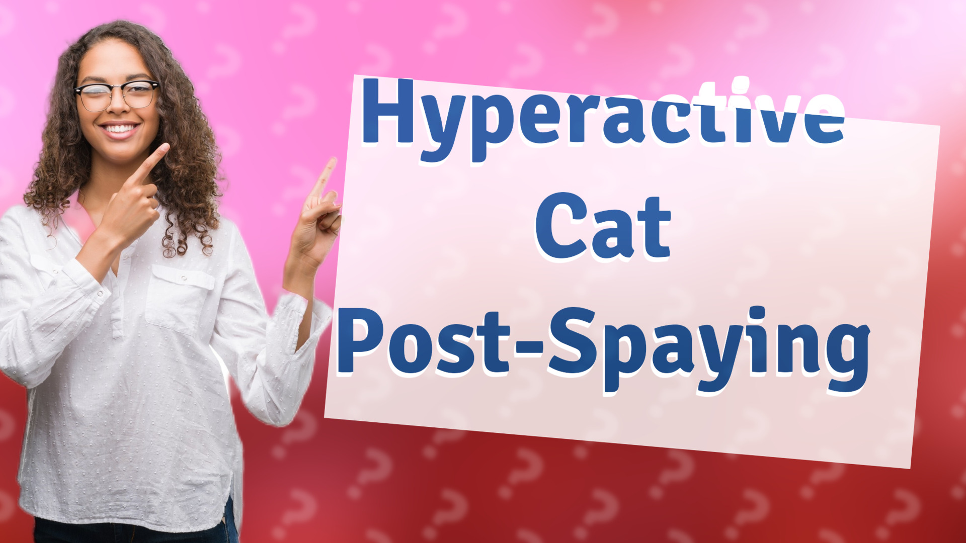 Hyperactive Cat Post-Spaying