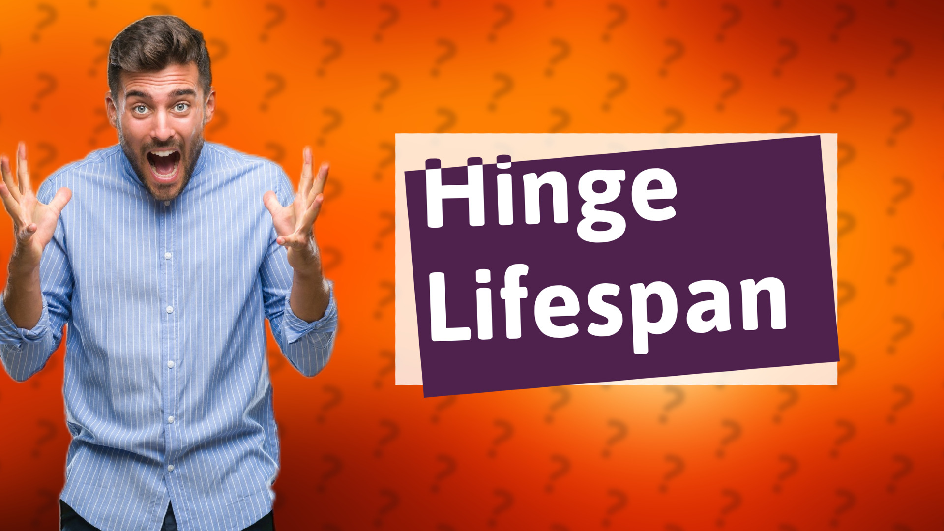 Hinge Lifespan