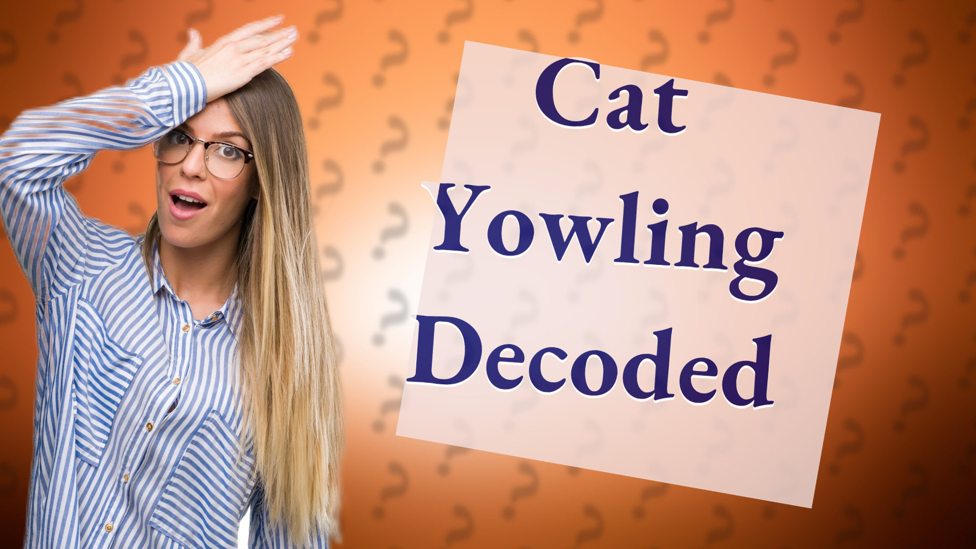 Cat Yowling Decoded