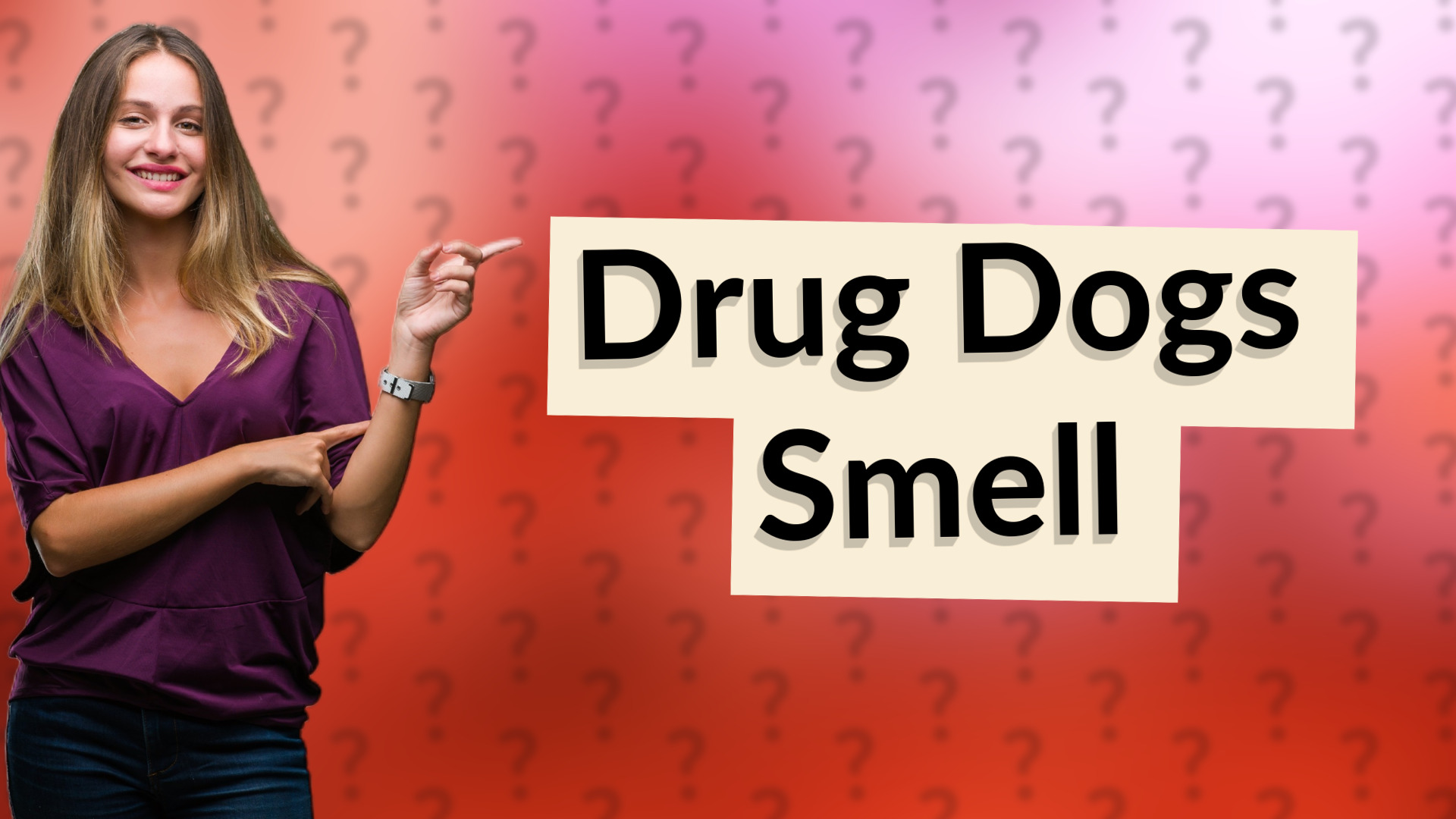 Drug Dogs Smell