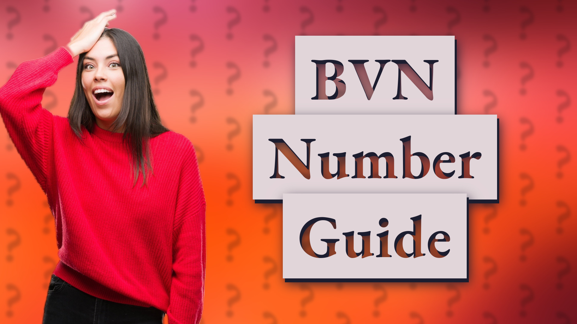BVN Number Guide