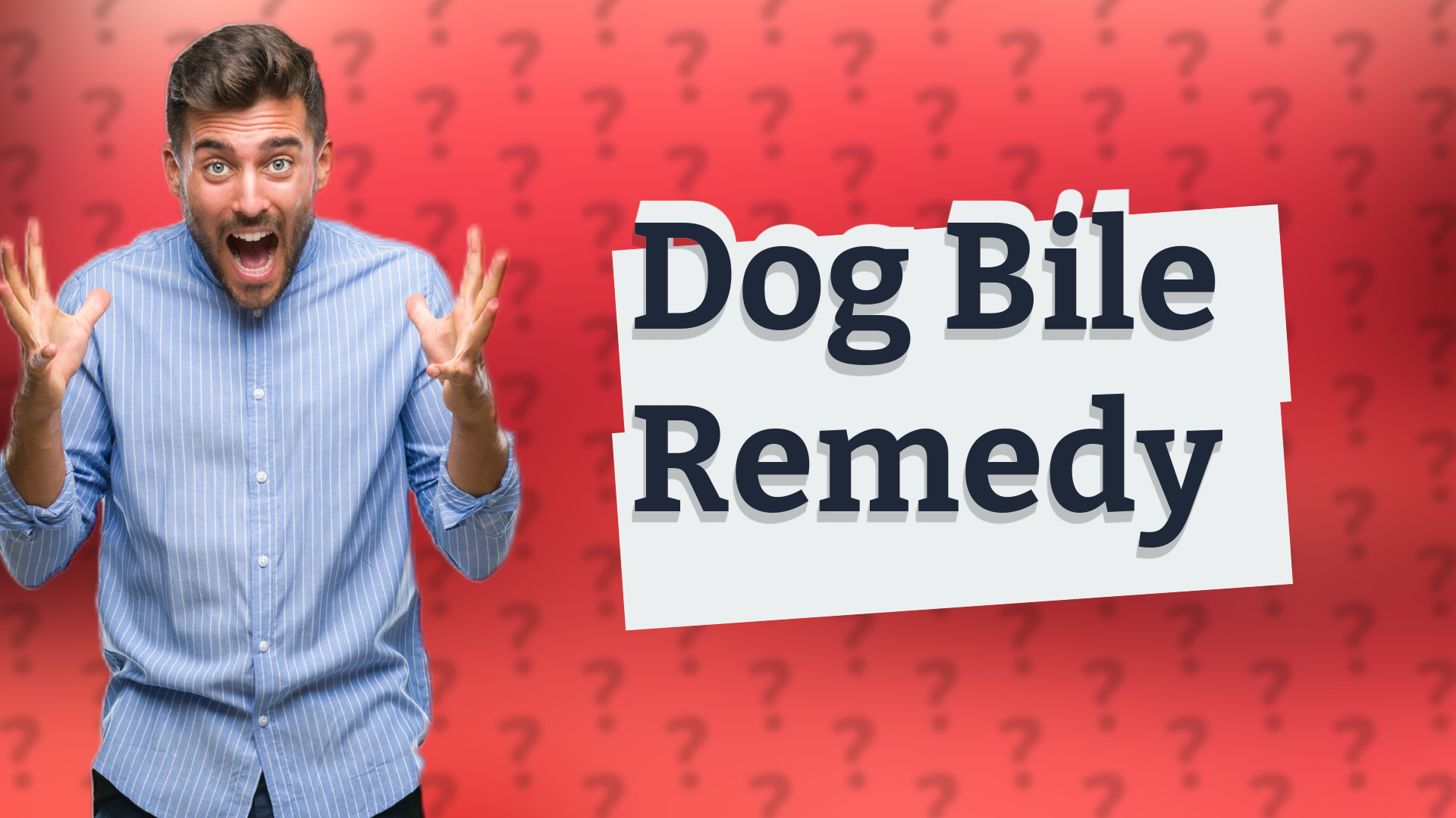 Dog Bile Remedy