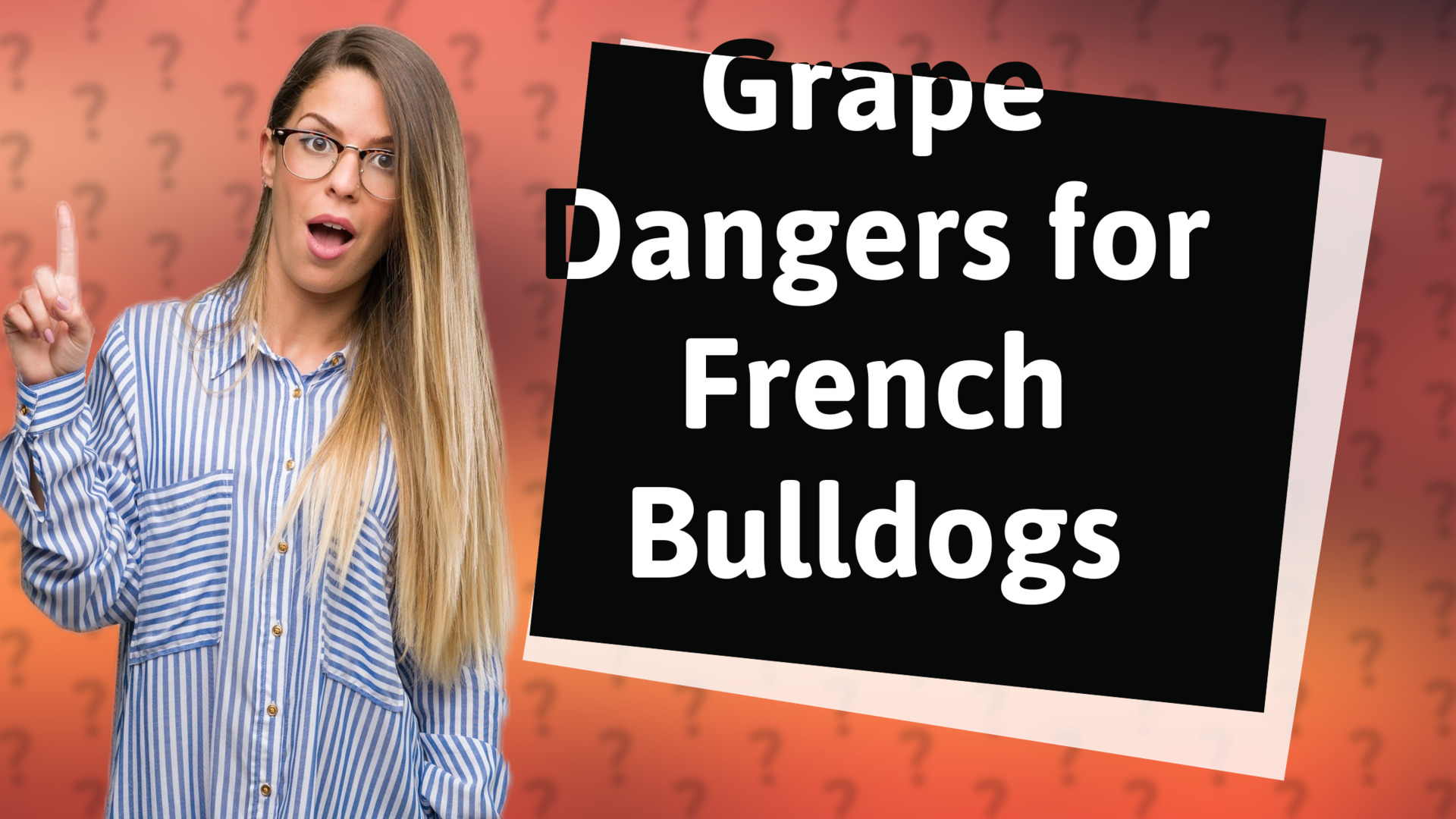 Grape Dangers for French Bulldogs