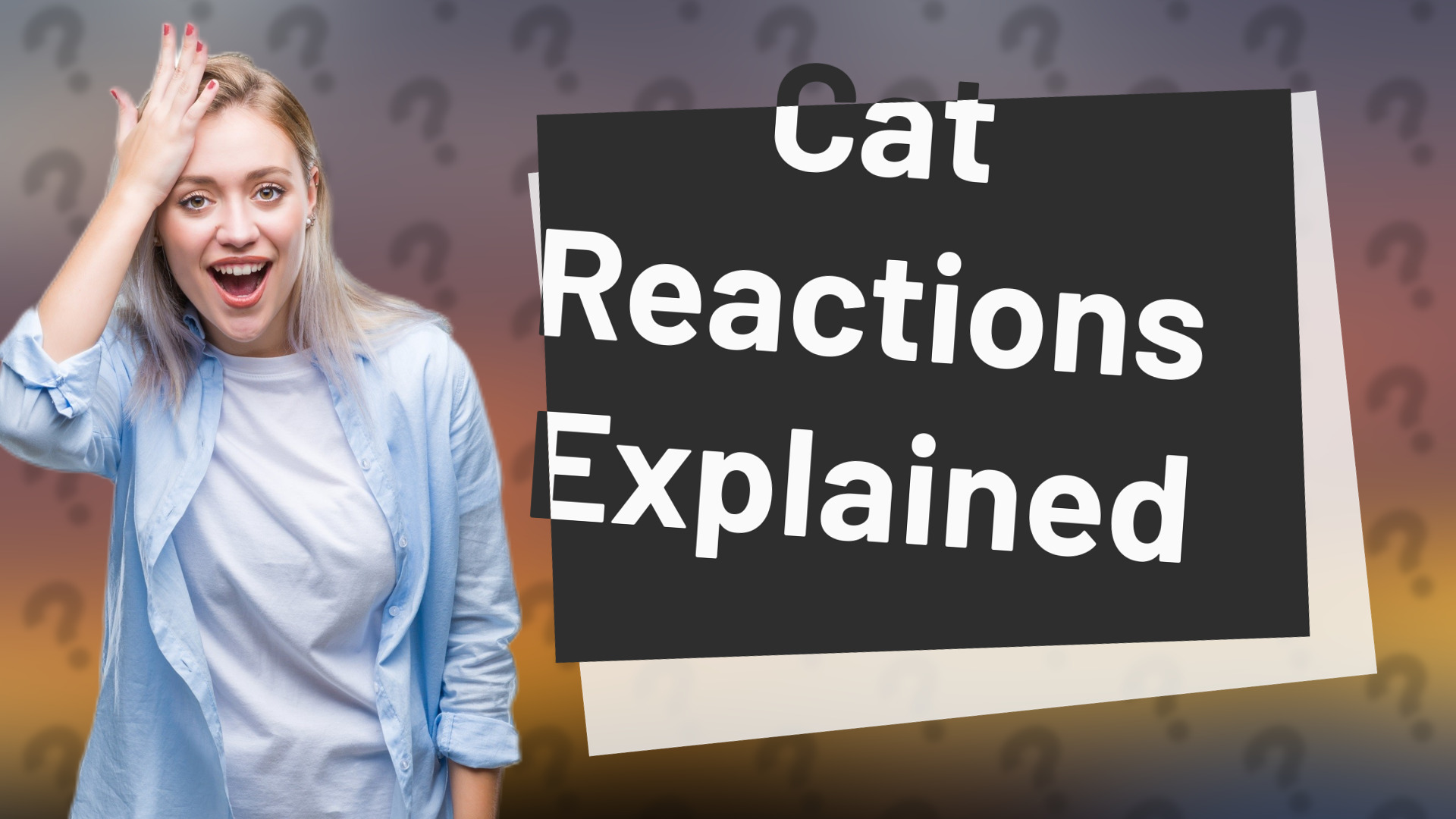 Cat Reactions Explained