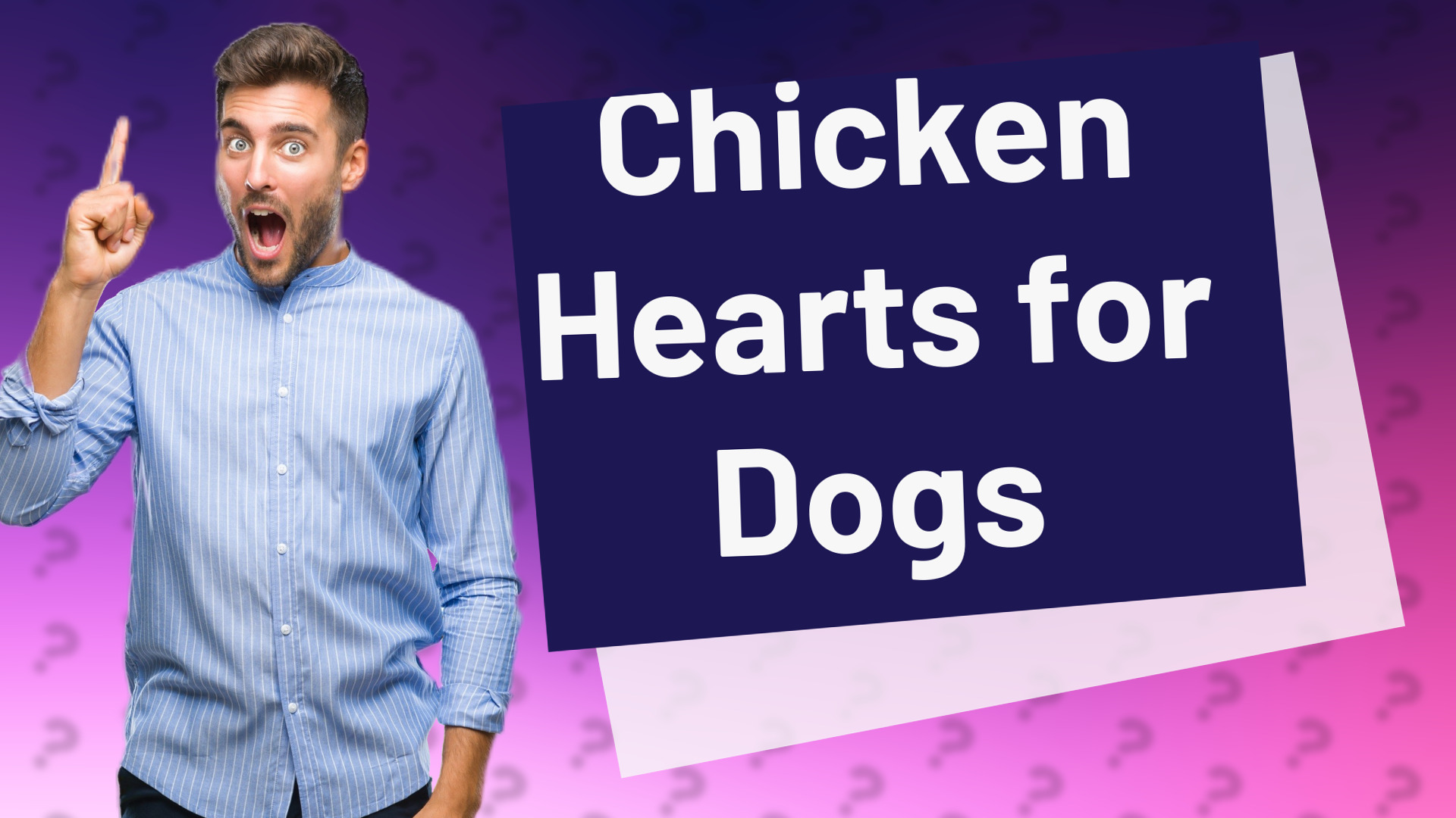 Chicken Hearts for Dogs