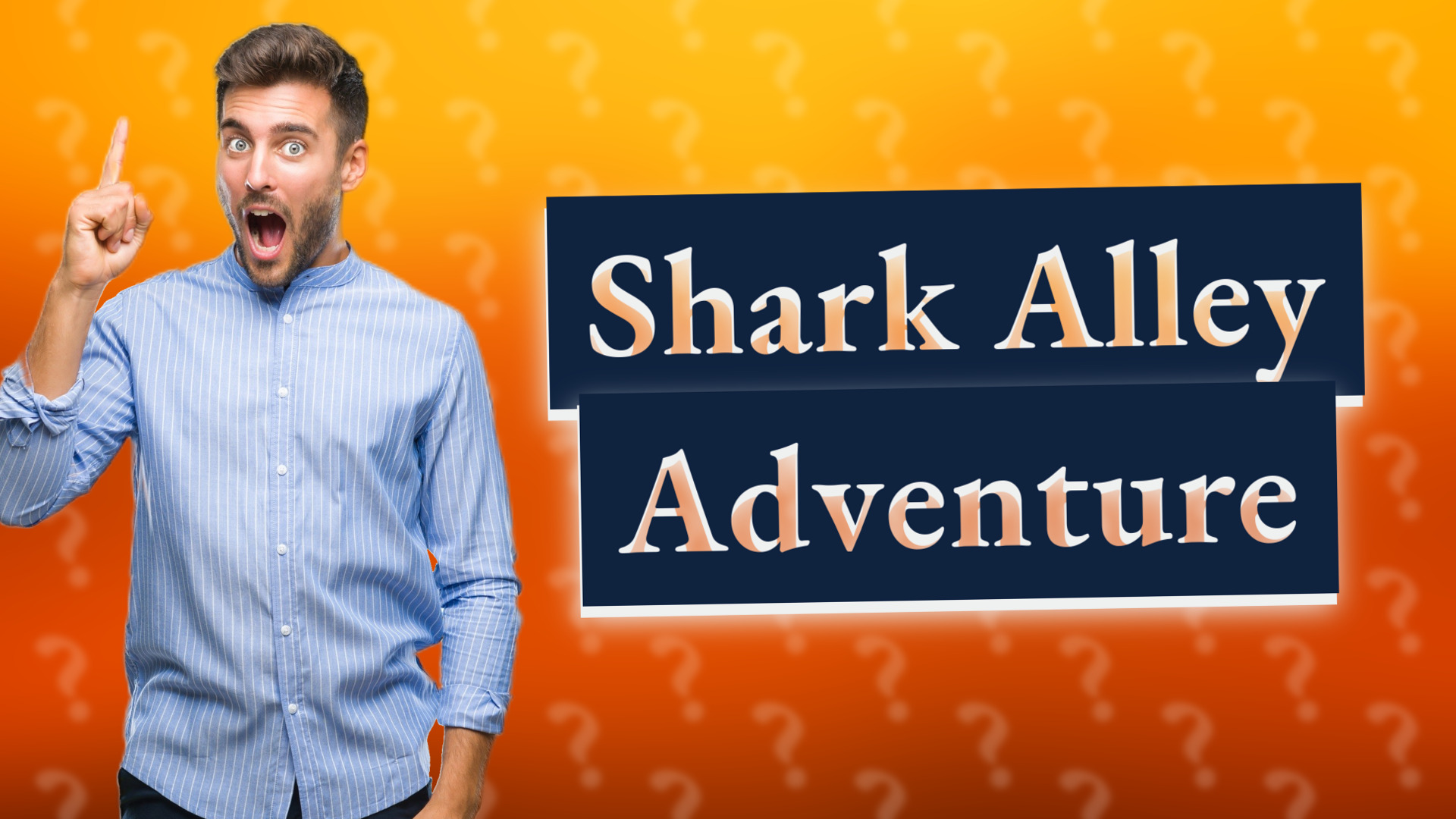 Shark Alley Adventure