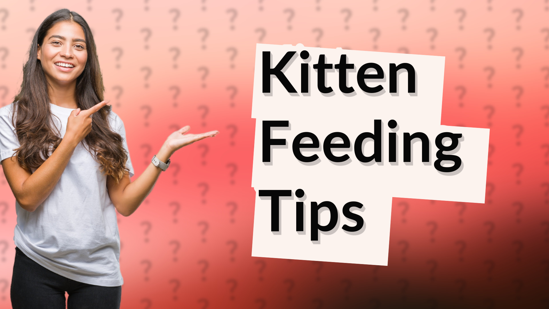 Kitten Feeding Tips
