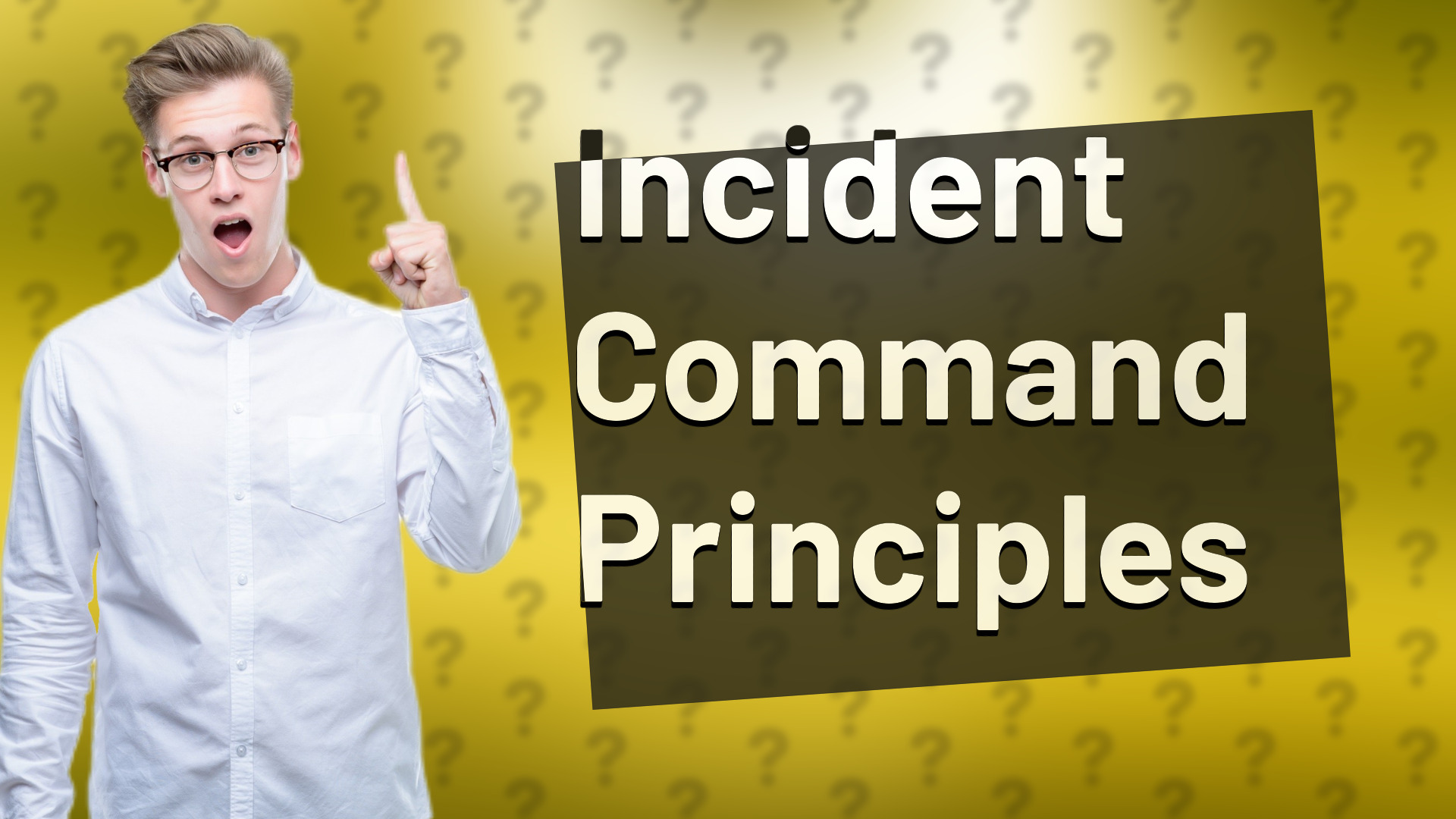 Incident Command Principles