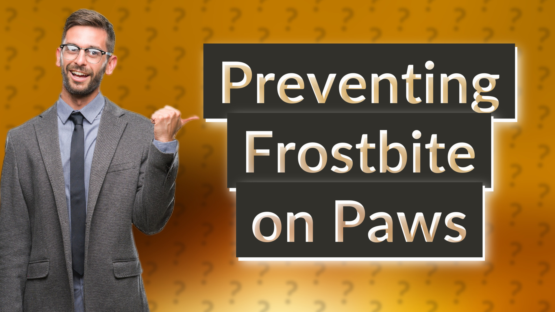 Preventing Frostbite on Paws