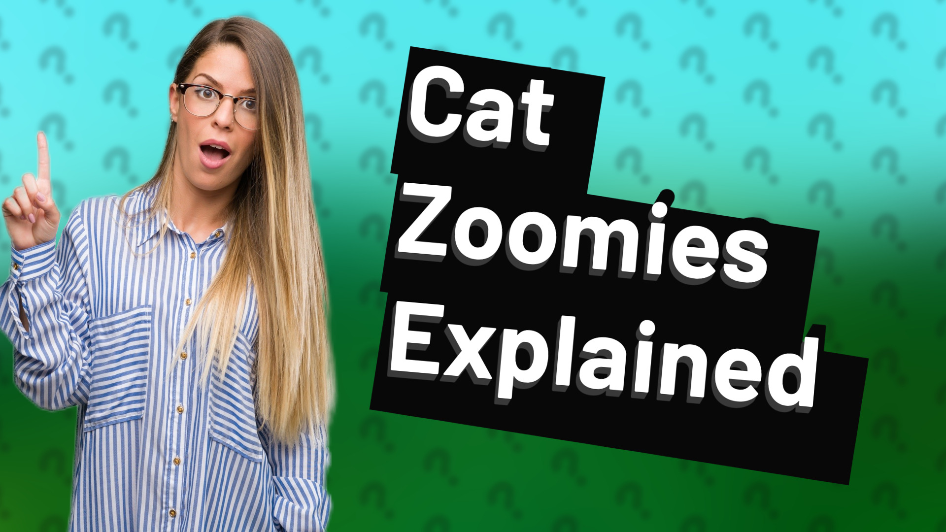Cat Zoomies Explained