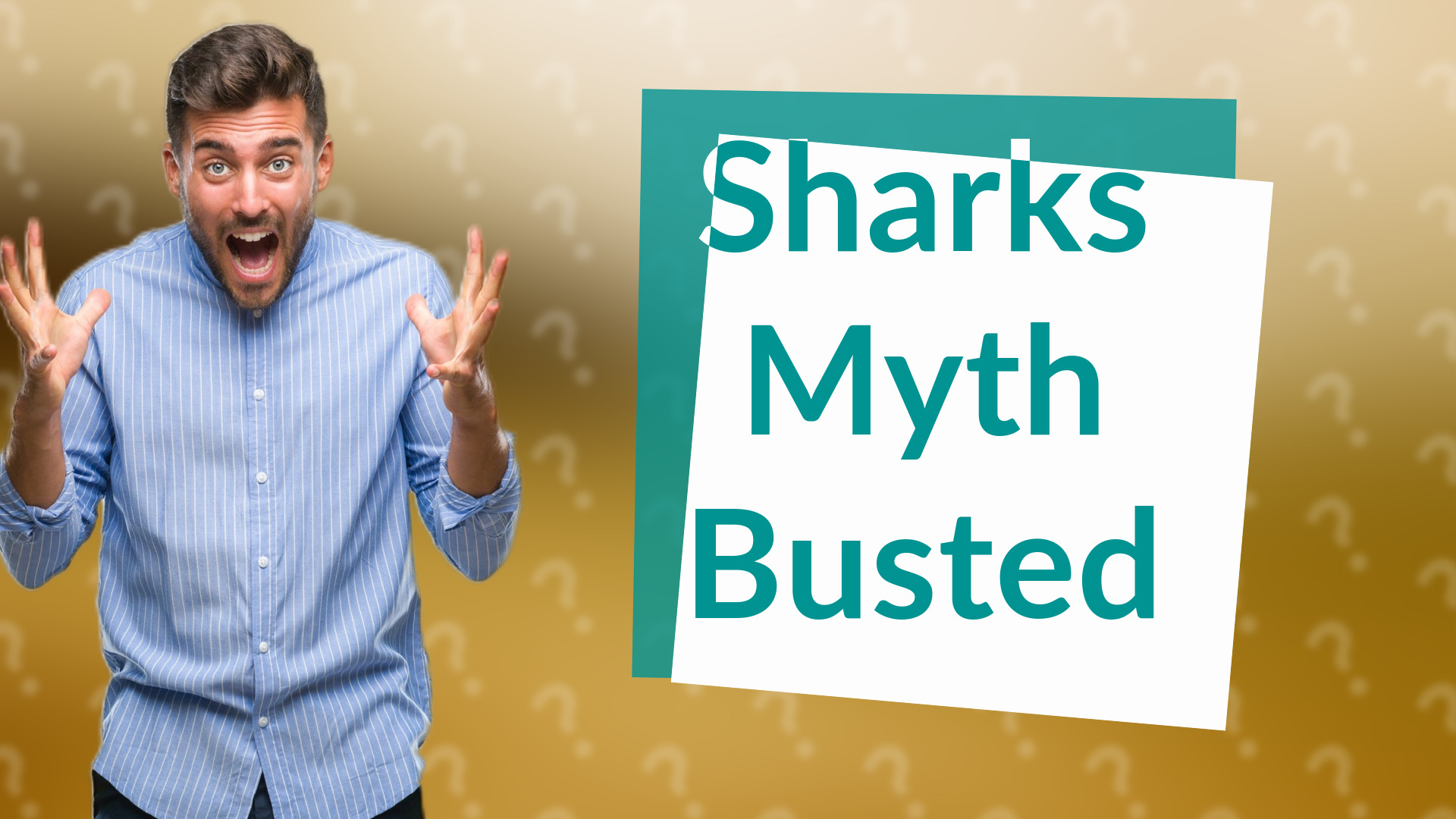 Sharks Myth Busted