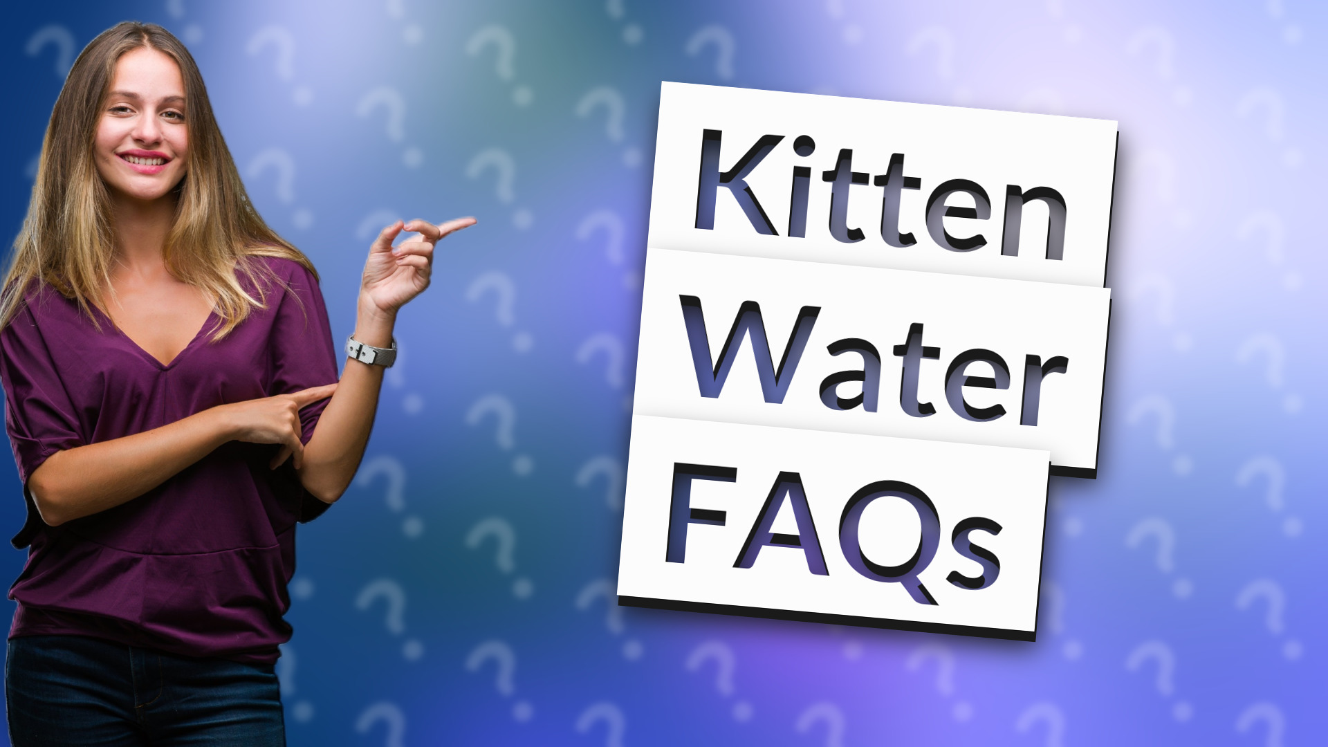 Kitten Water FAQs