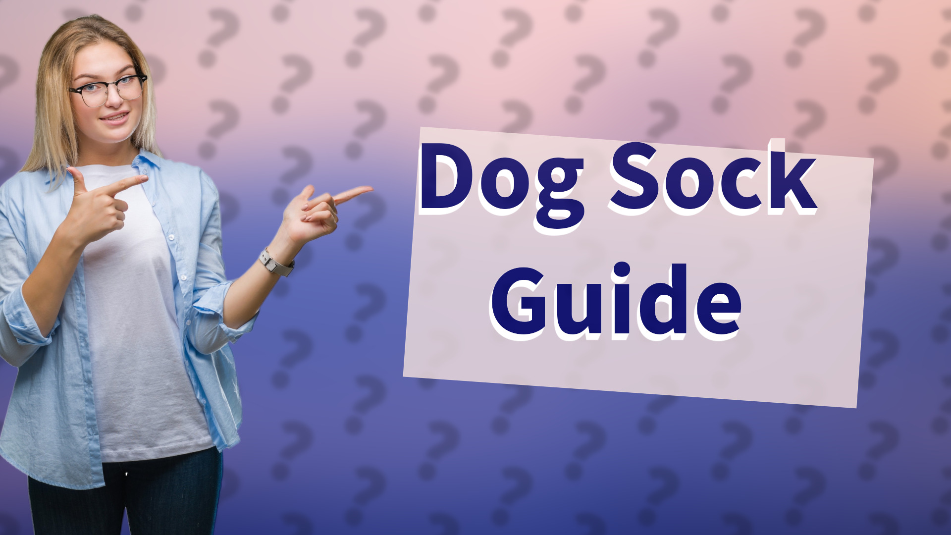 Dog Sock Guide