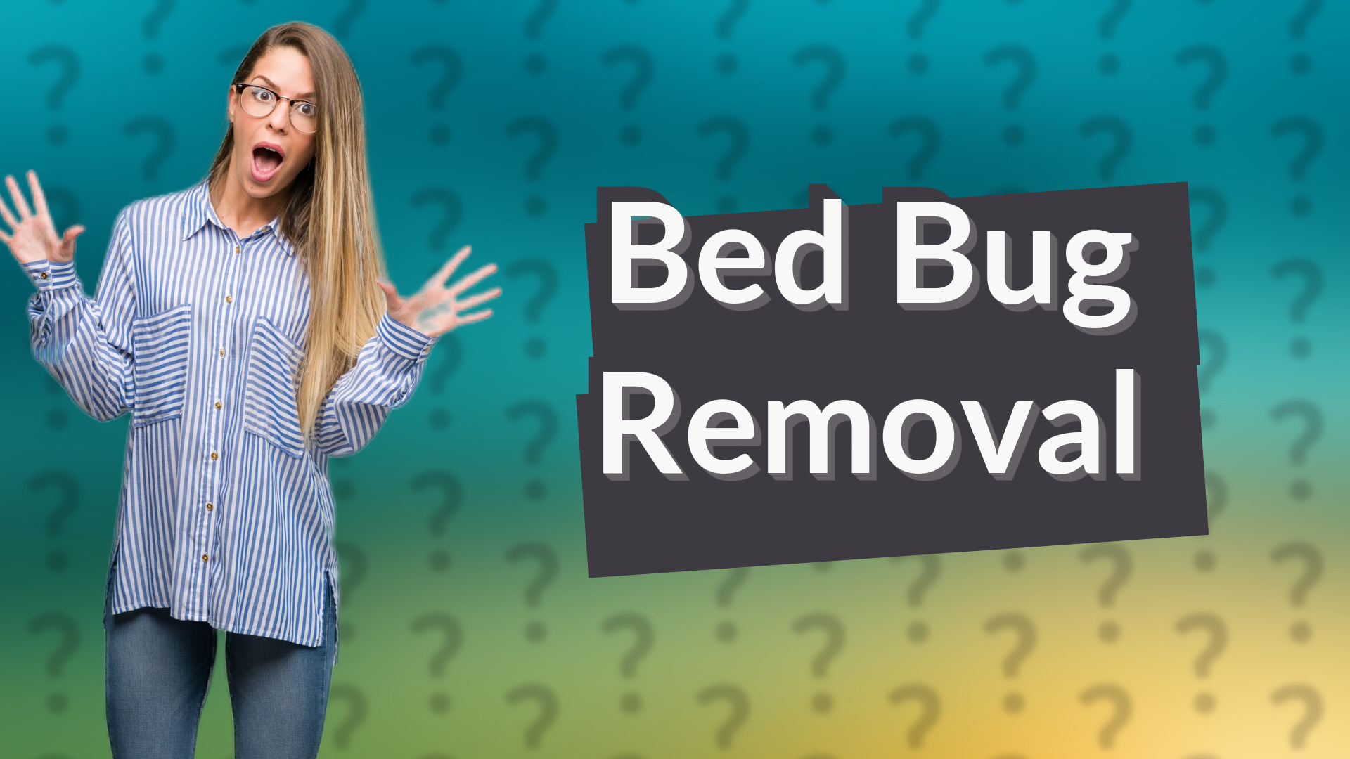 Bed Bug Removal