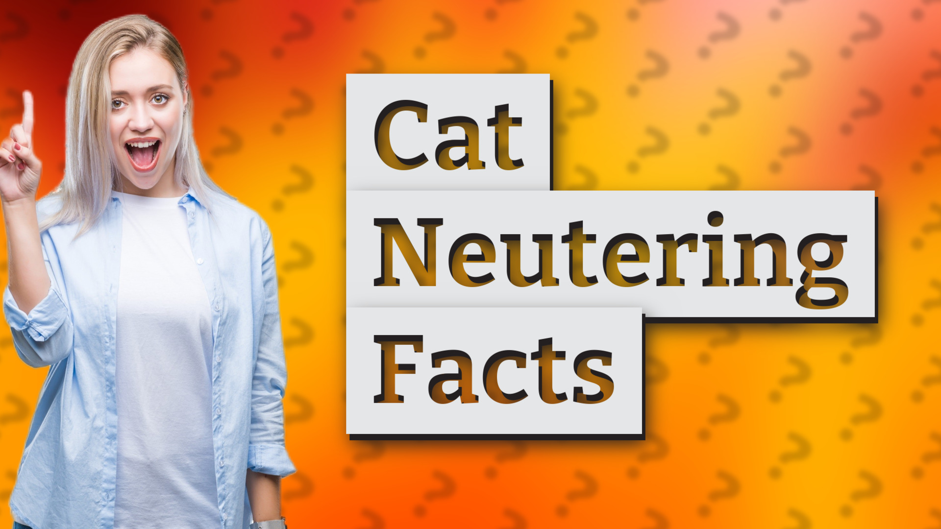 Cat Neutering Facts