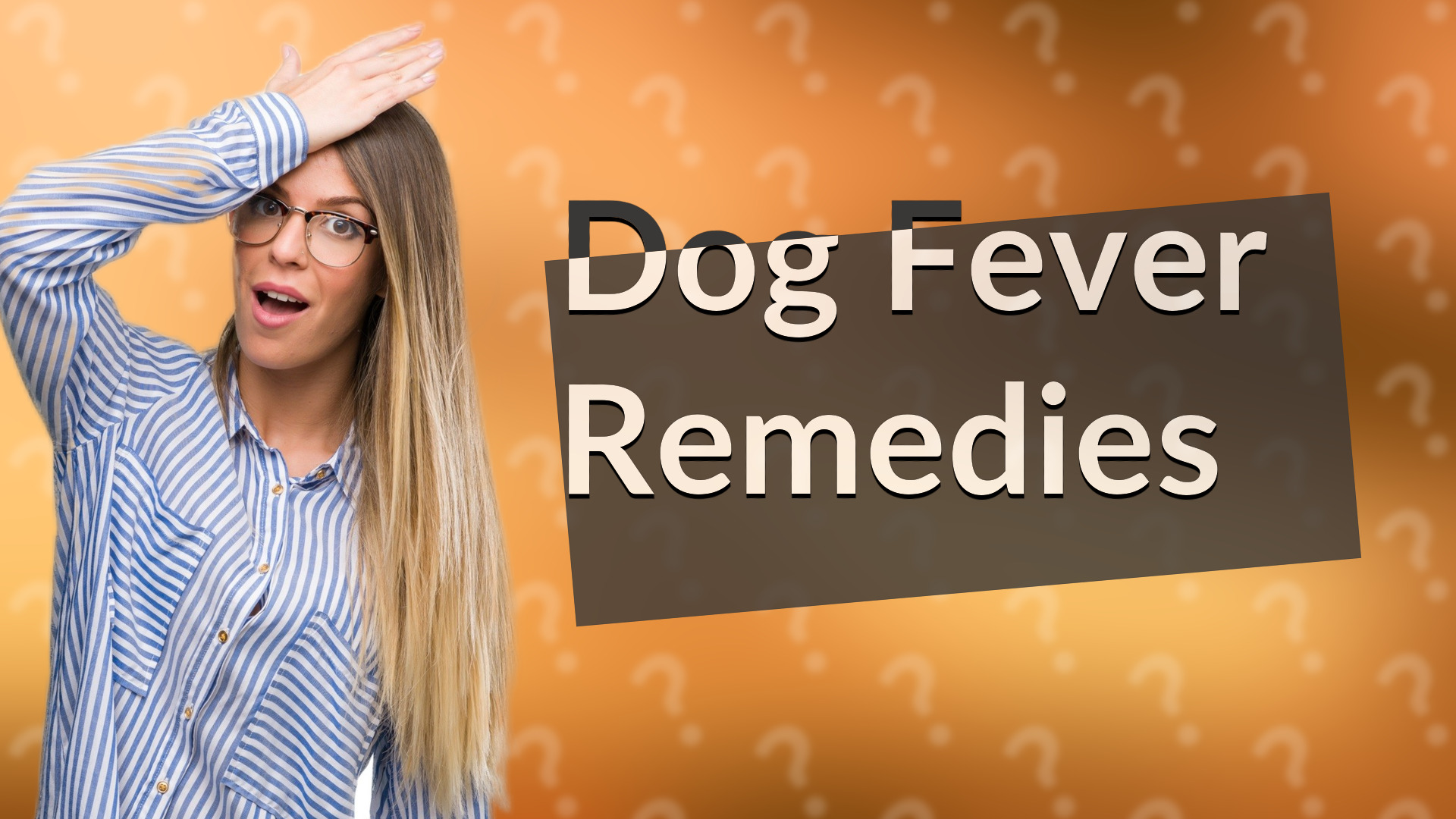 Dog Fever Remedies