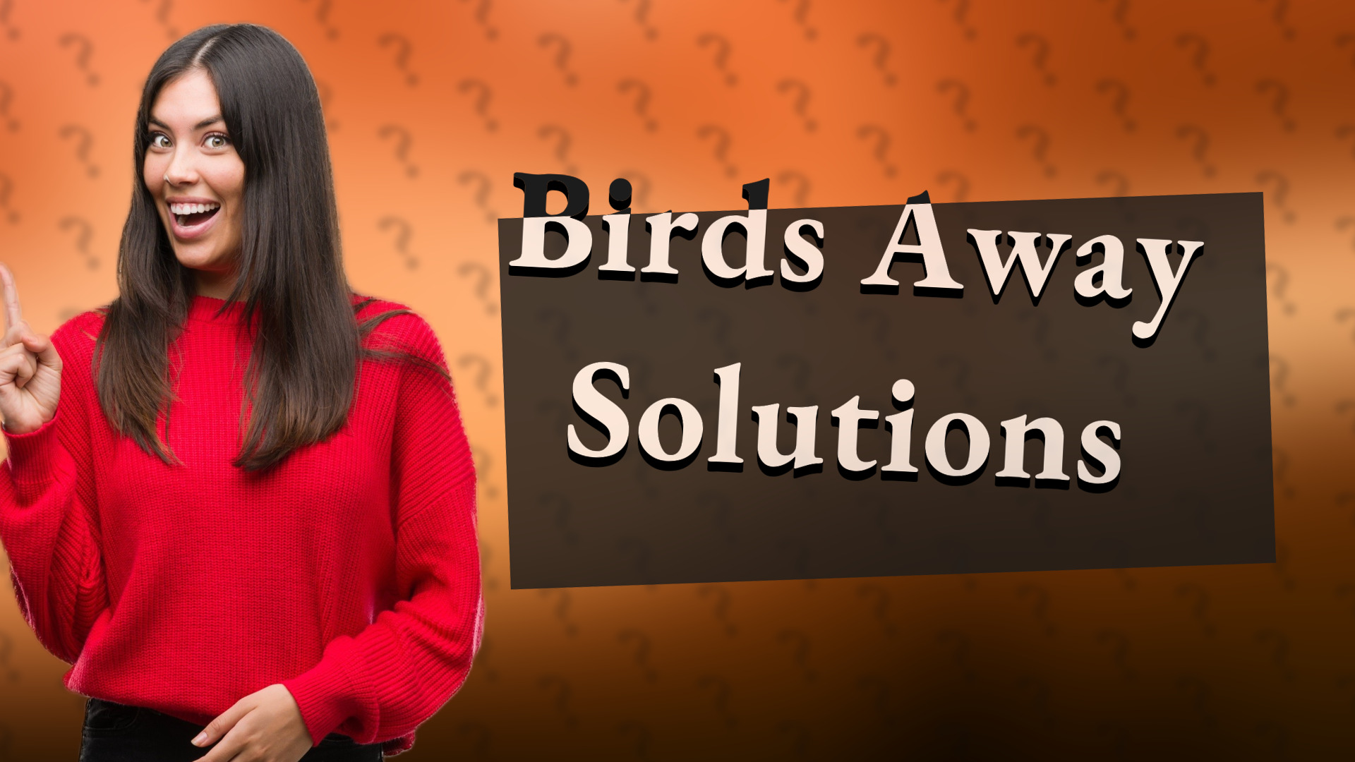 Birds Away Solutions