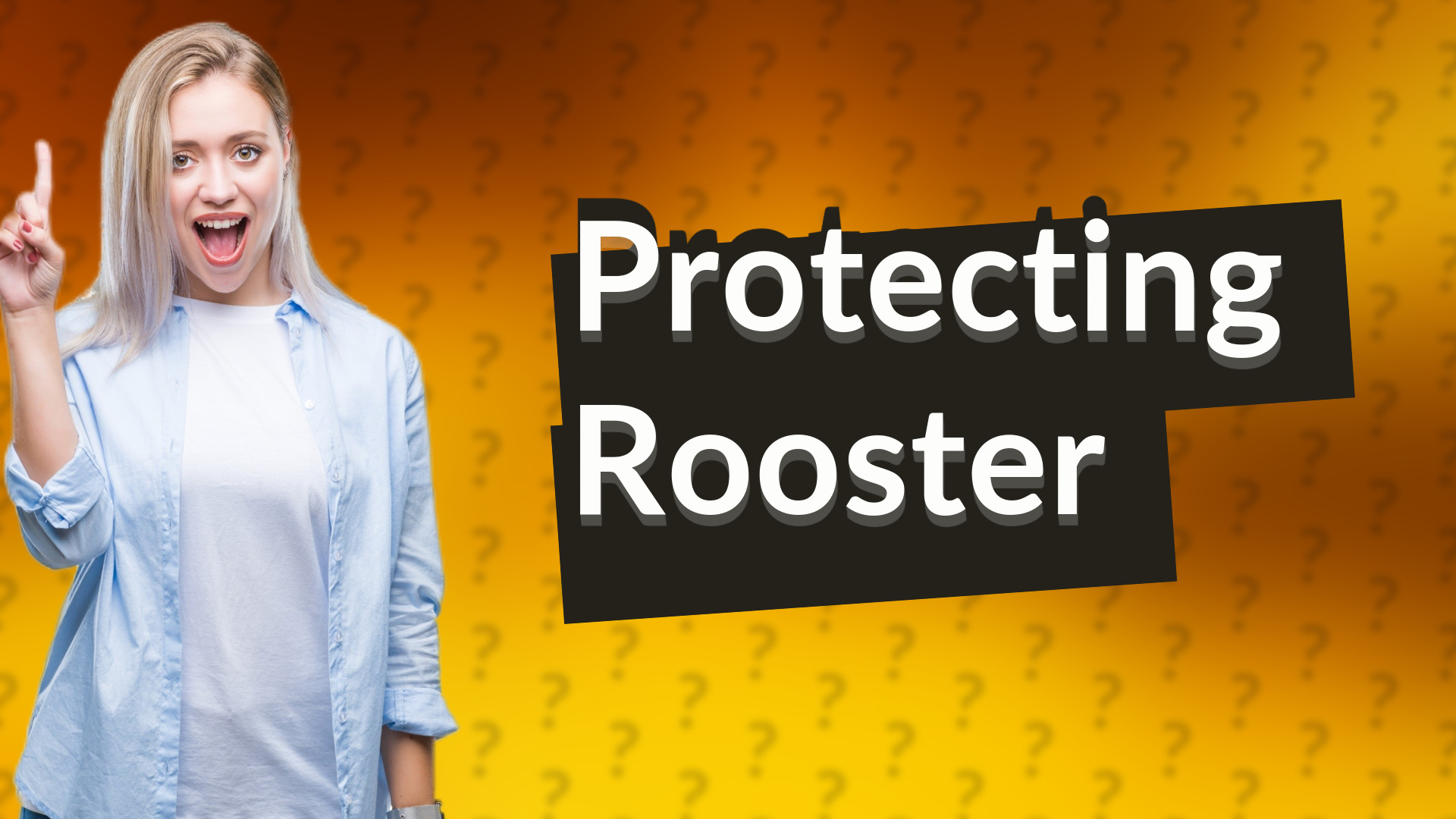 Protecting Rooster
