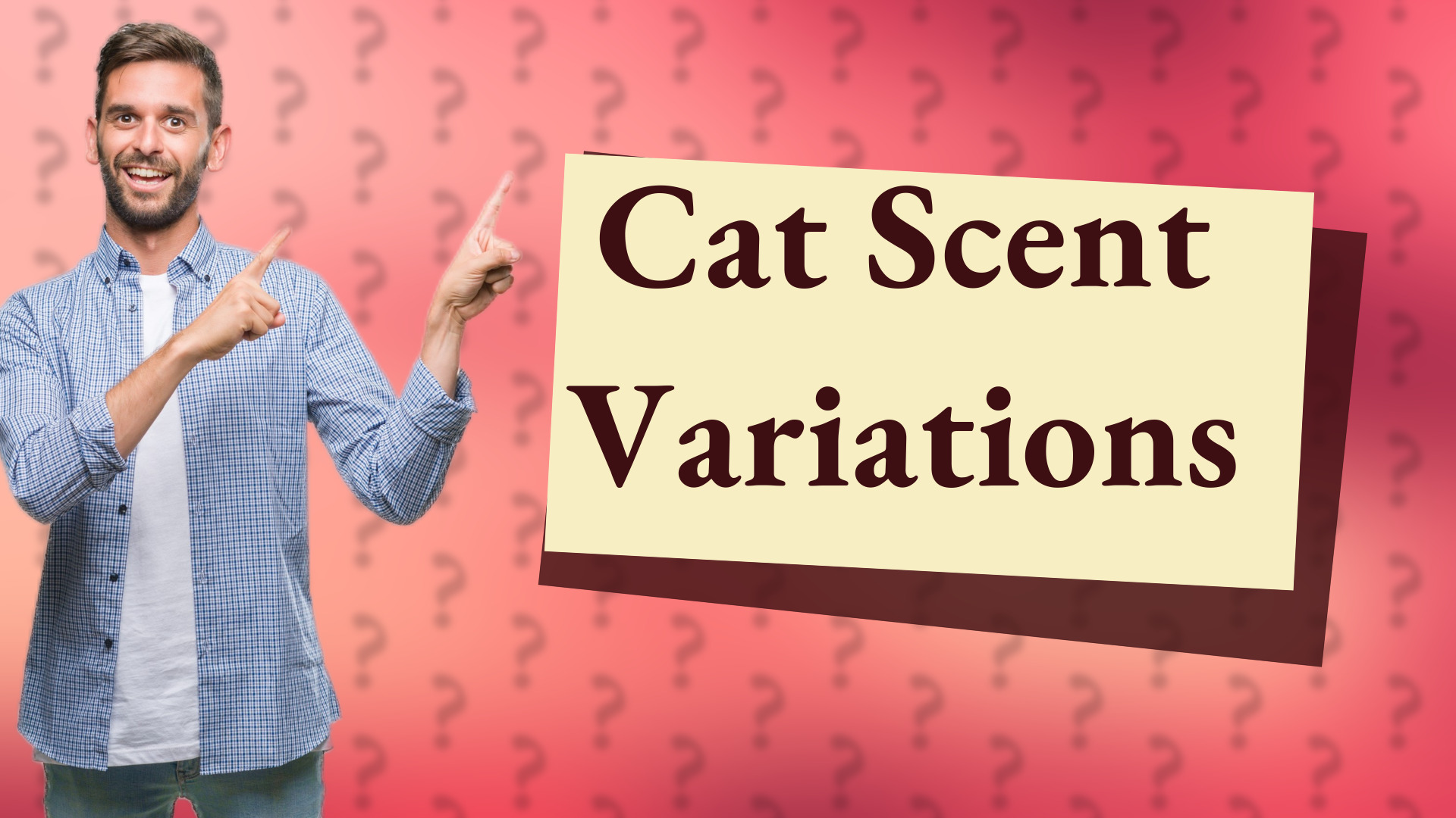 Cat Scent Variations