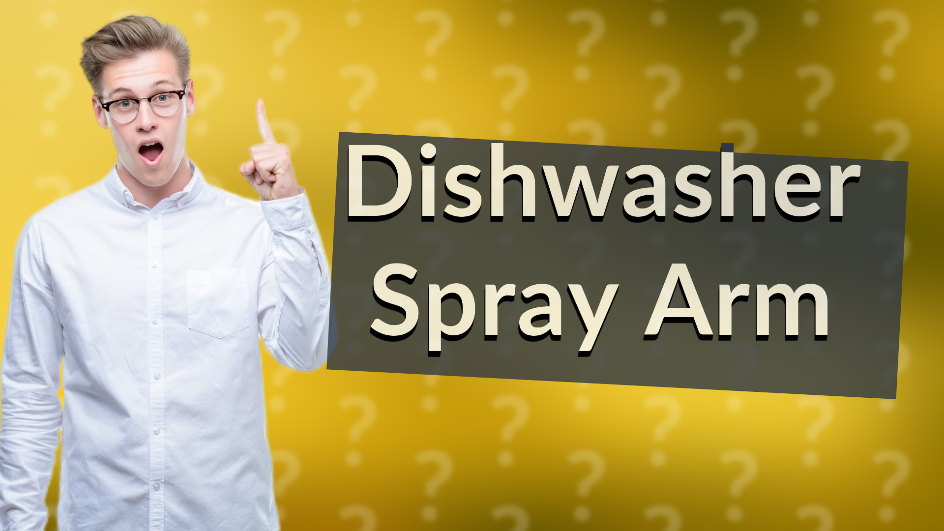 Dishwasher Spray Arm