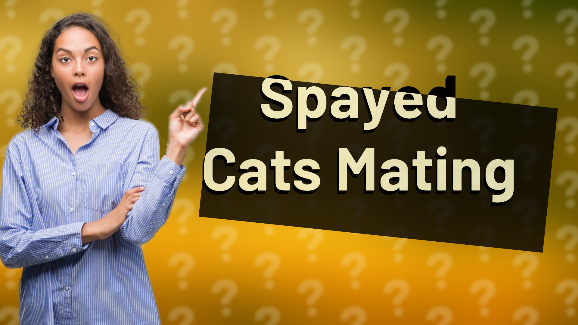 Spayed Cats Mating