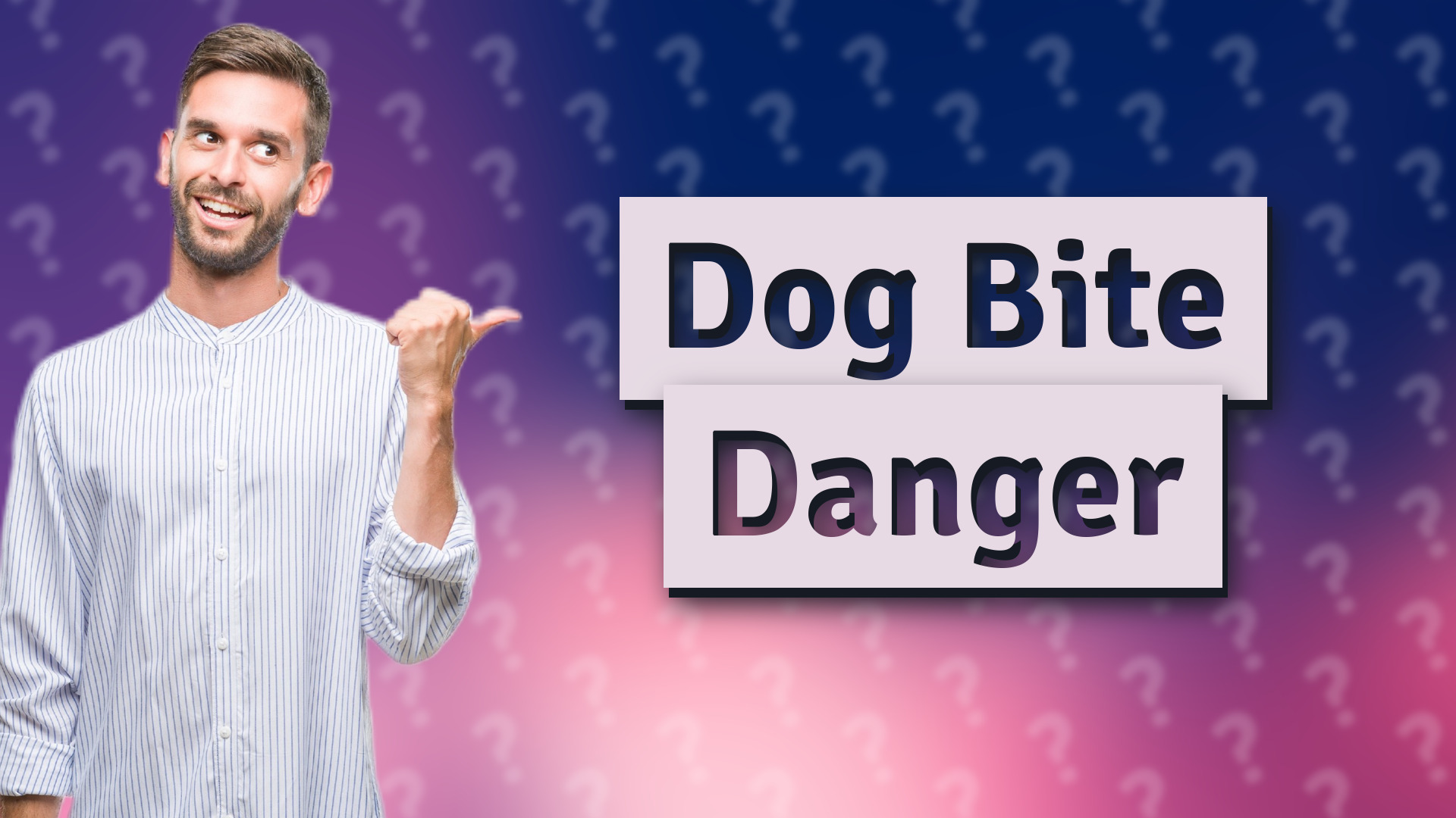 Dog Bite Danger
