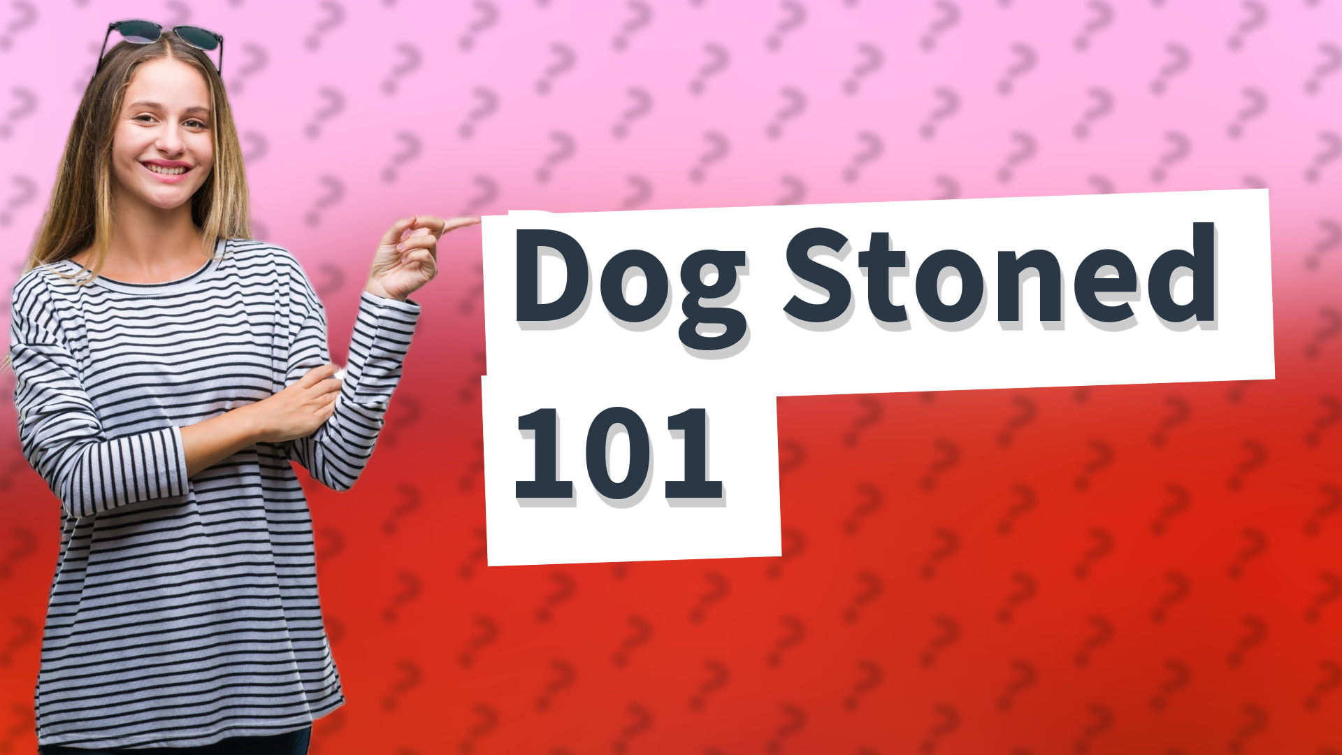 Dog Stoned 101