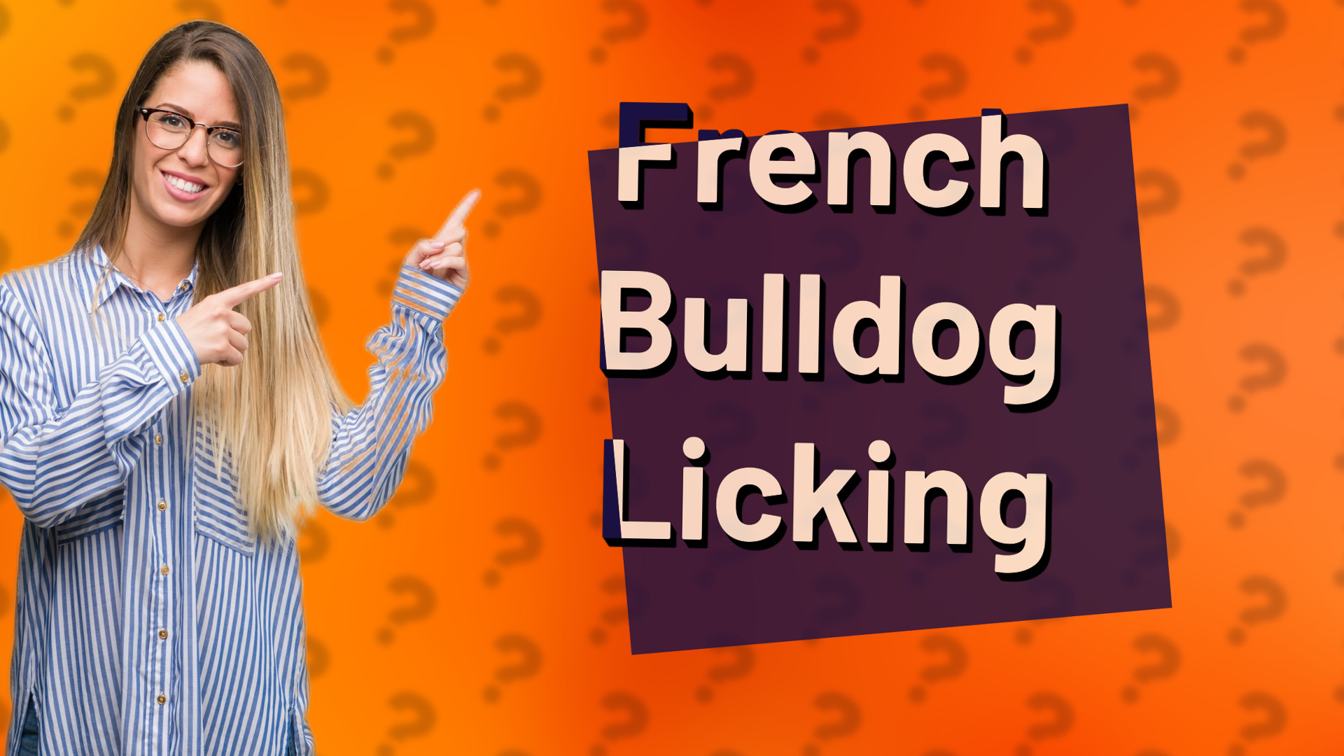 French Bulldog Licking