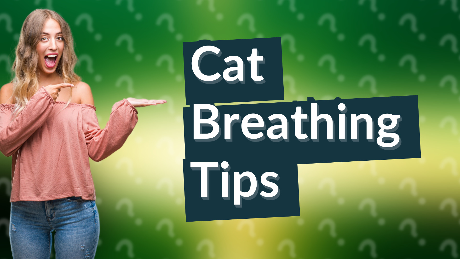 Cat Breathing Tips