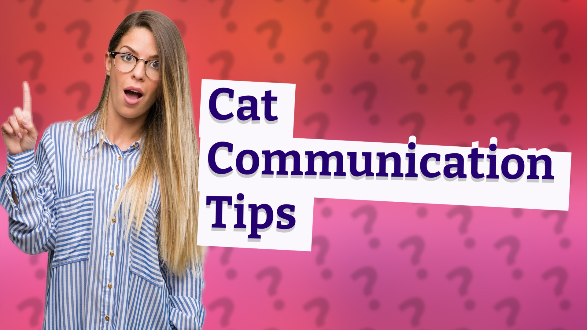 Cat Communication Tips
