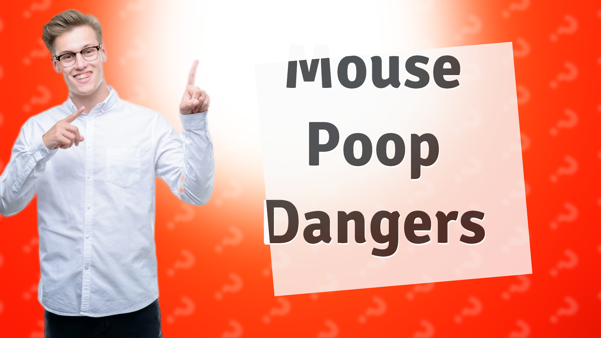 Mouse Poop Dangers