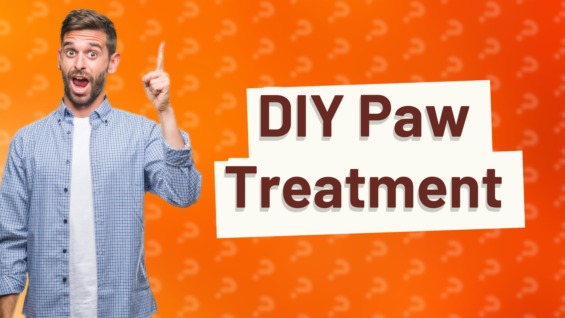 DIY Paw Treatment