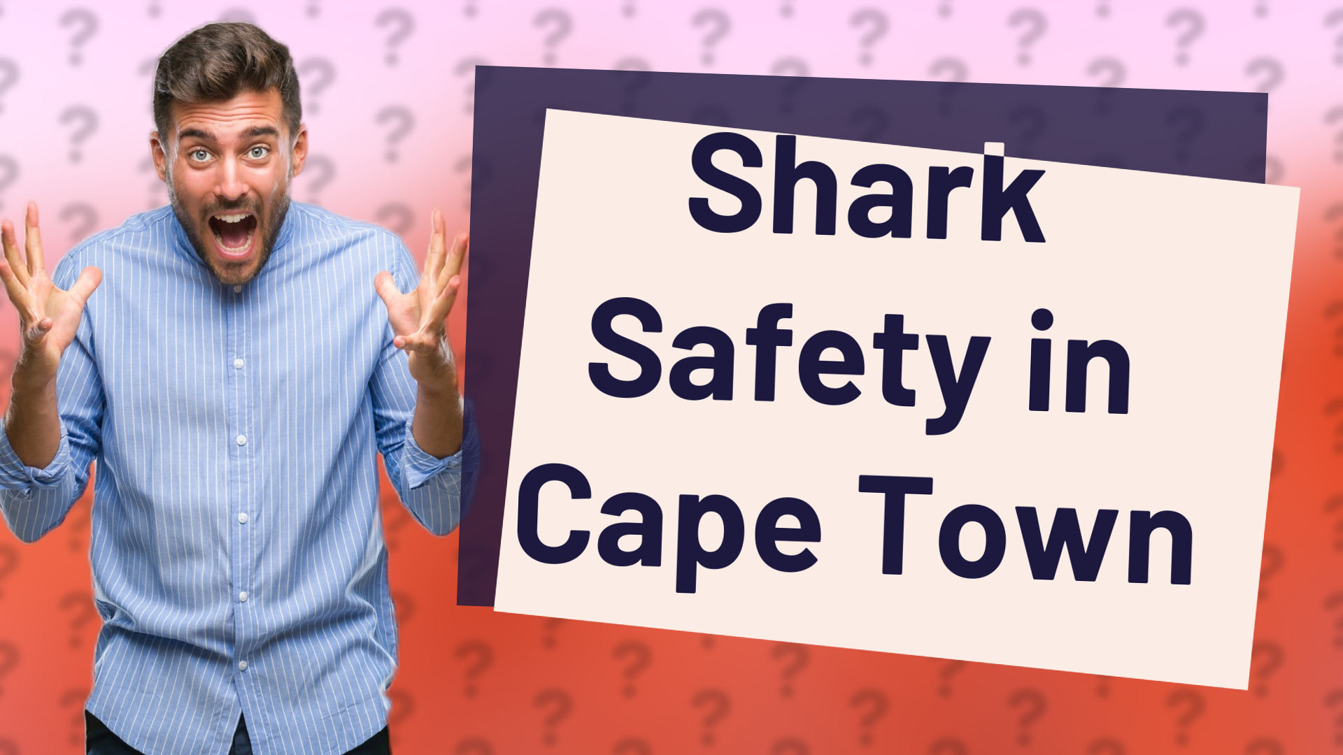 Shark Safety in Cape Town