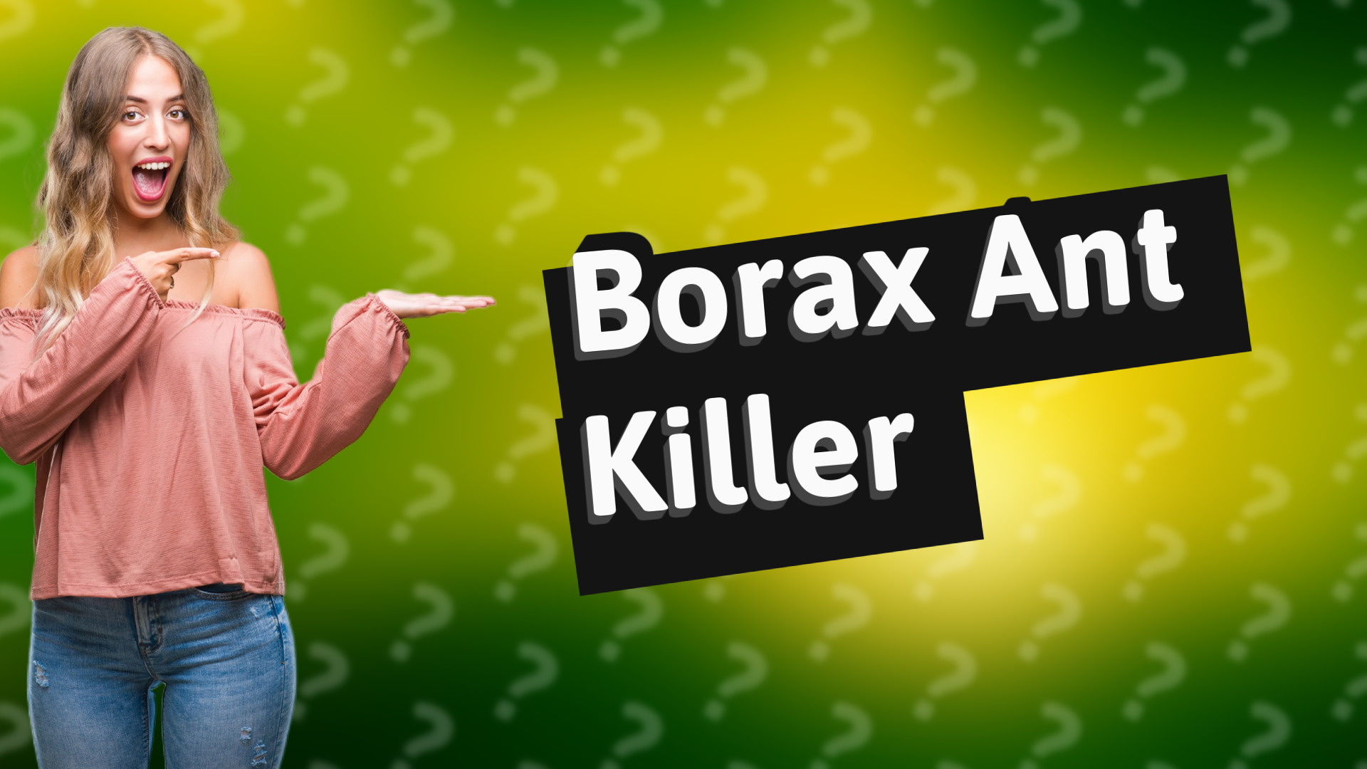 Borax Ant Killer