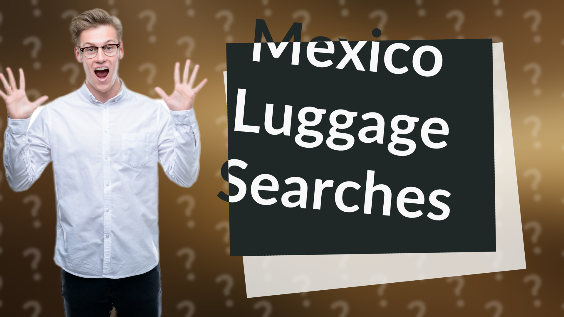 Mexico Luggage Searches