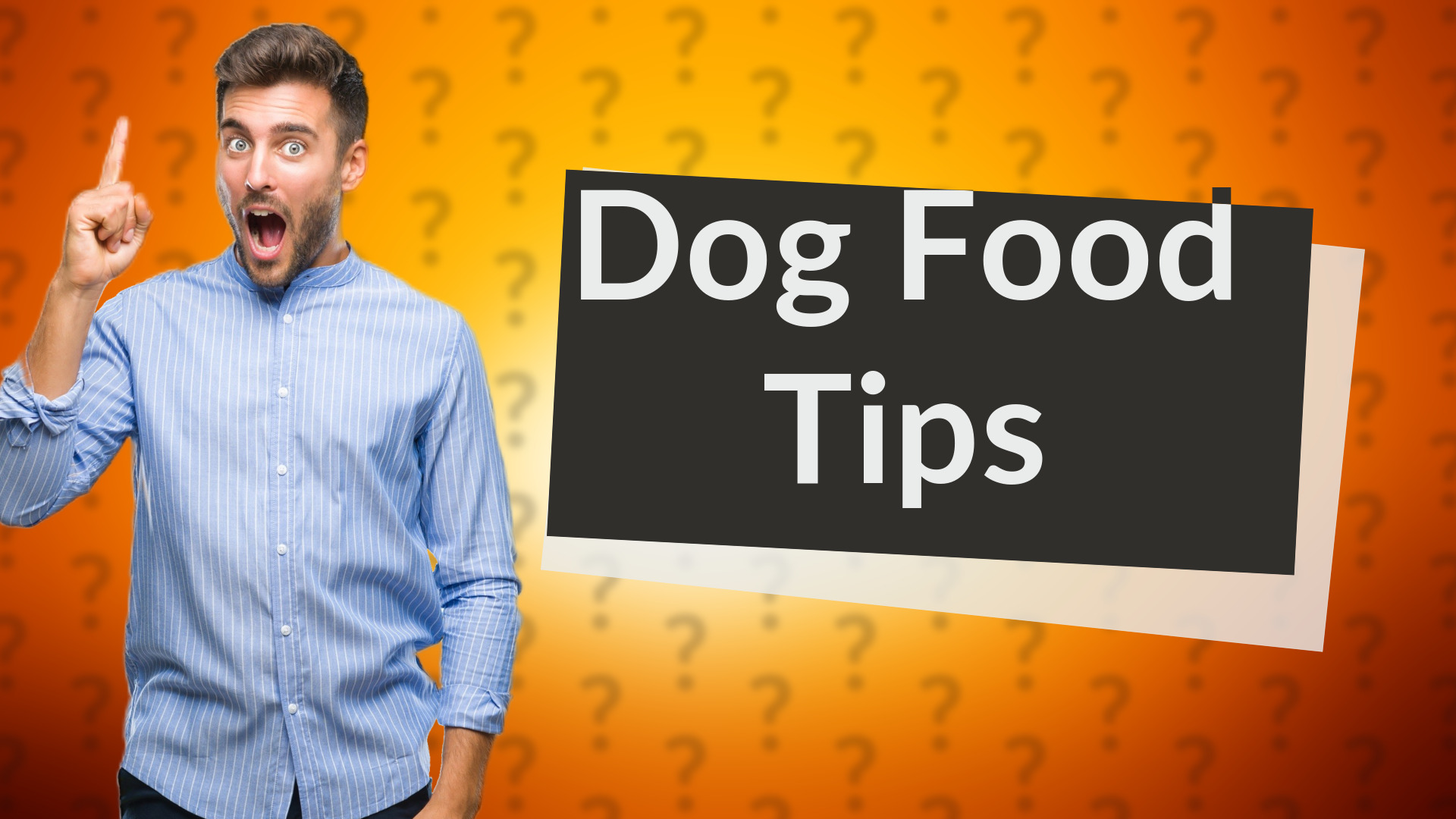 Dog Food Tips