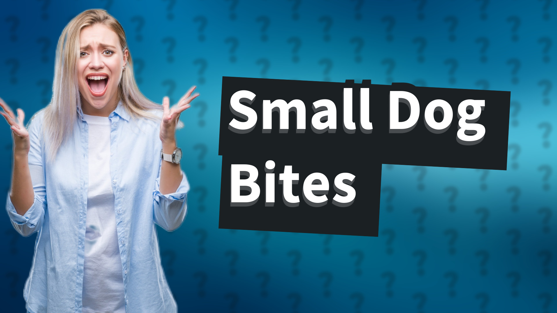 Small Dog Bites