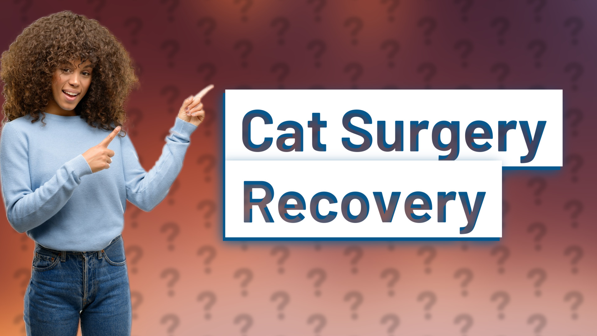 Cat Surgery Recovery