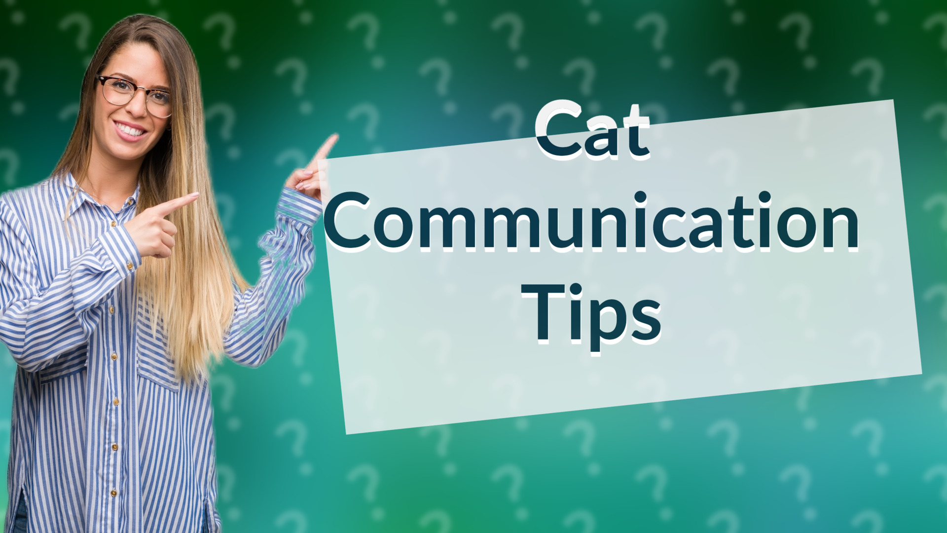 Cat Communication Tips