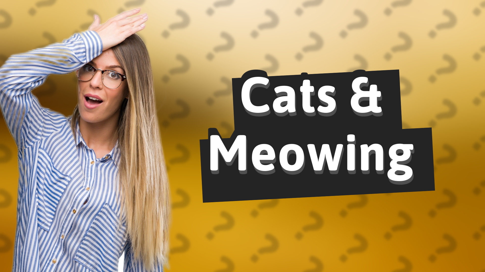 Cats & Meowing