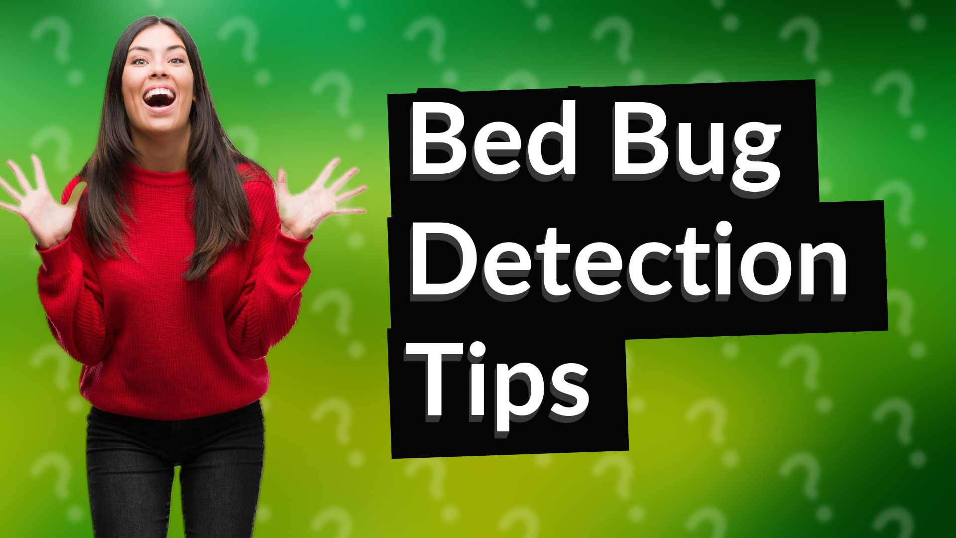Bed Bug Detection Tips