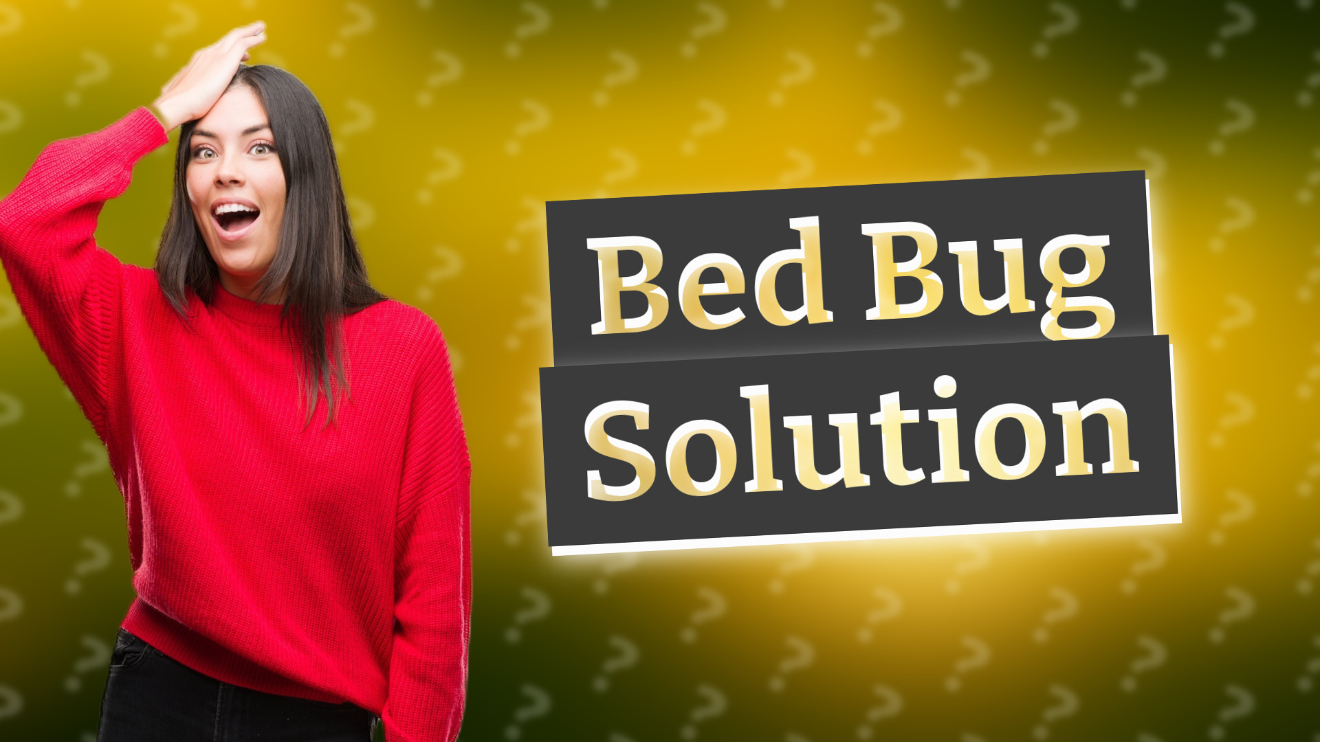 Bed Bug Solution