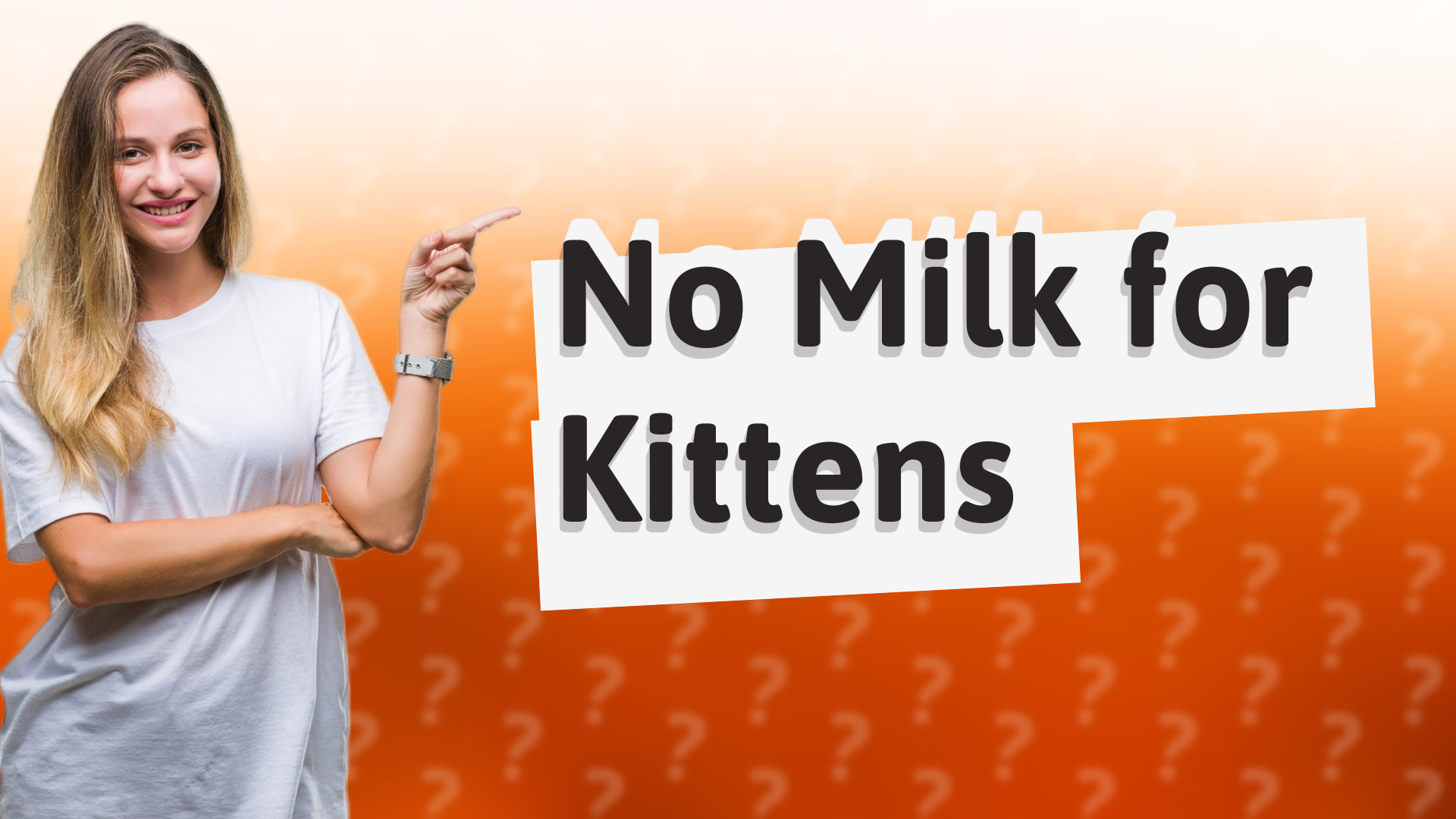 No Milk for Kittens