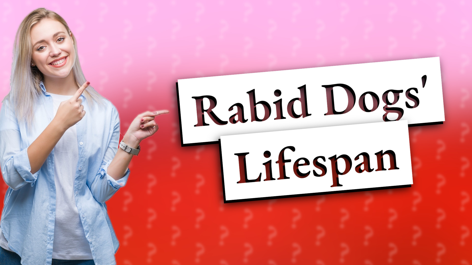 Rabid Dogs' Lifespan